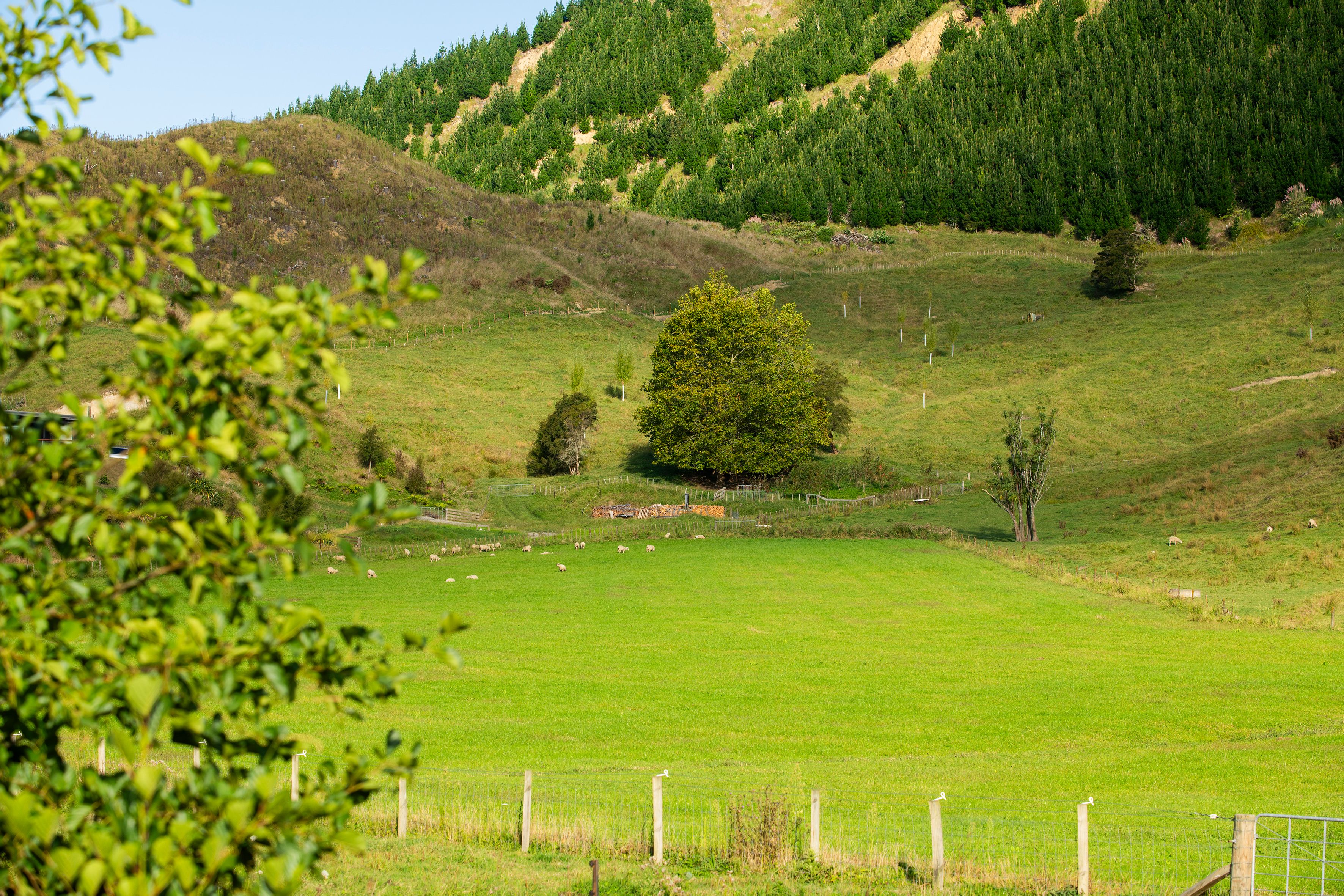 0 Ormond Valley Road, Ormond, Gisborne District