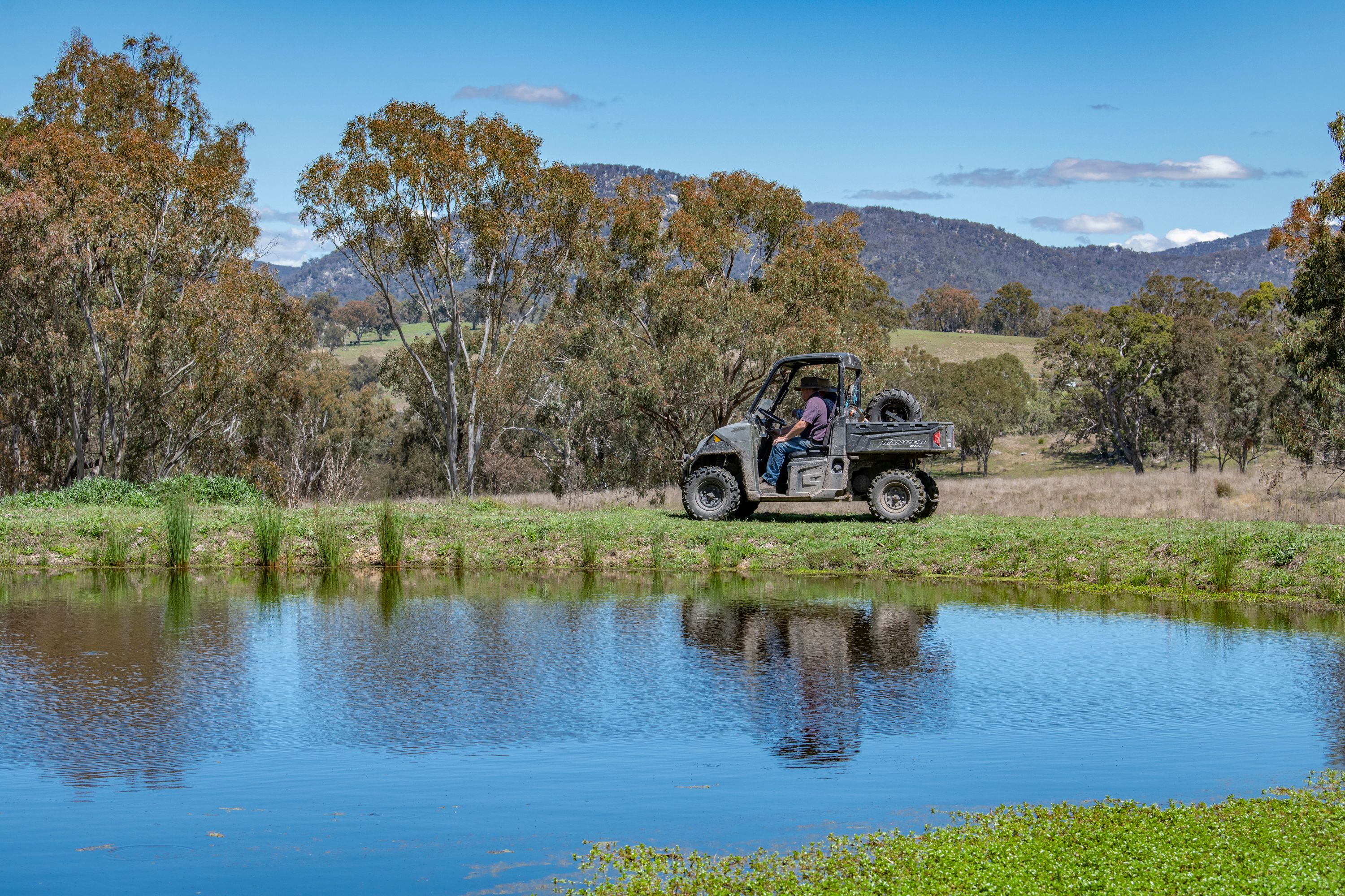 "Emaho" 805 Sandy Flat Road, Tenterfield, NSW 2372 Sold Rural Mixed