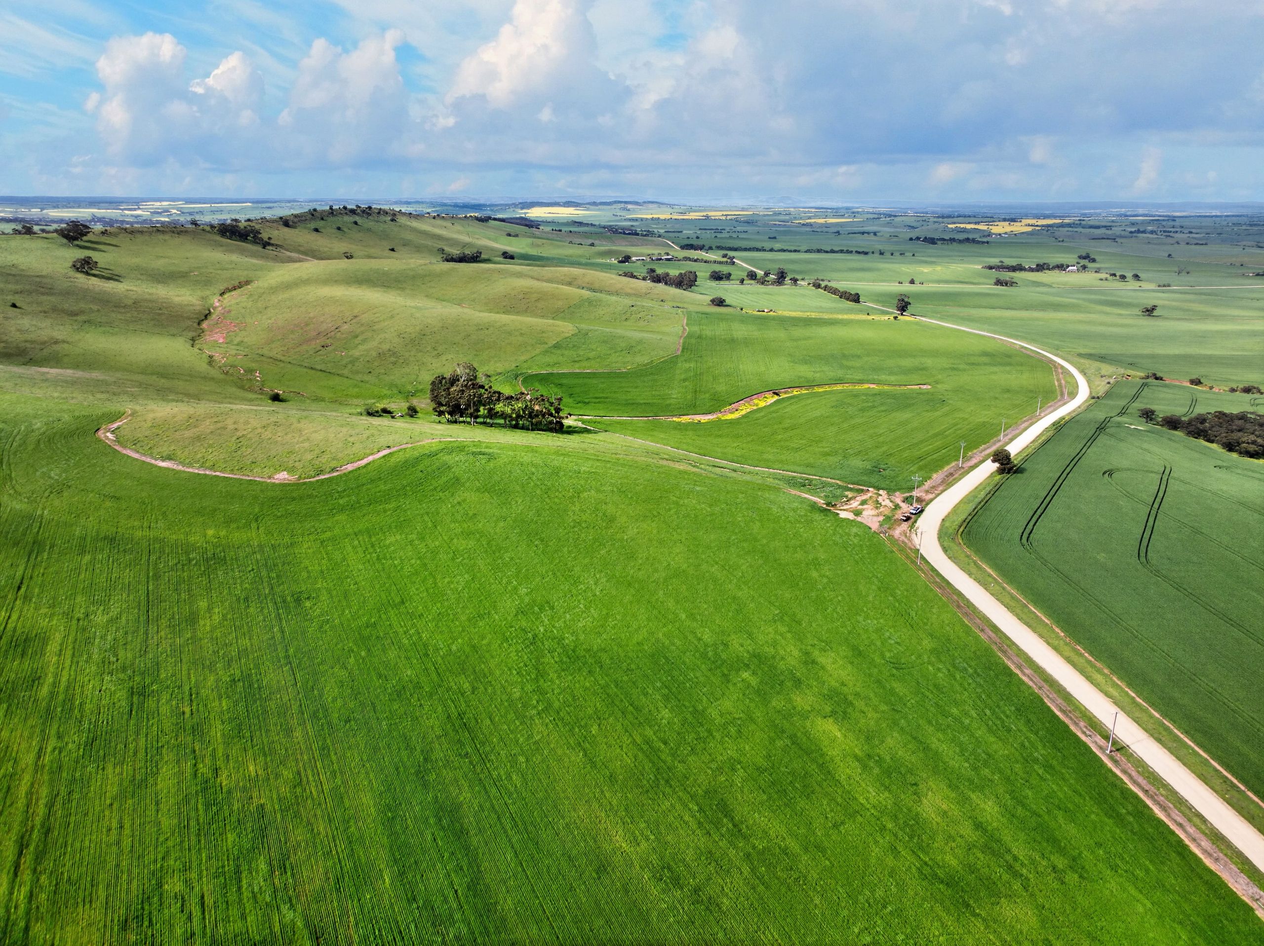 'Schumachers Range' Weichert Road — photo from Ray White Rural South Australia