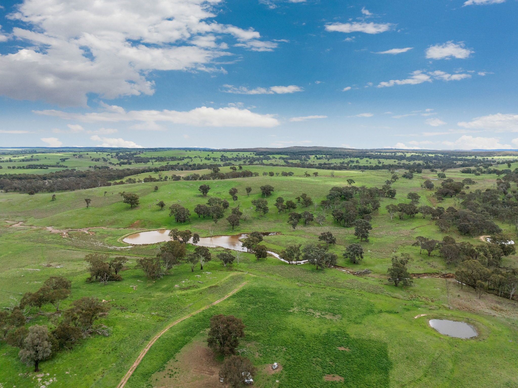 "Reynoldsdale", 1056 Lachlan Valley Way — photo 24 of 30