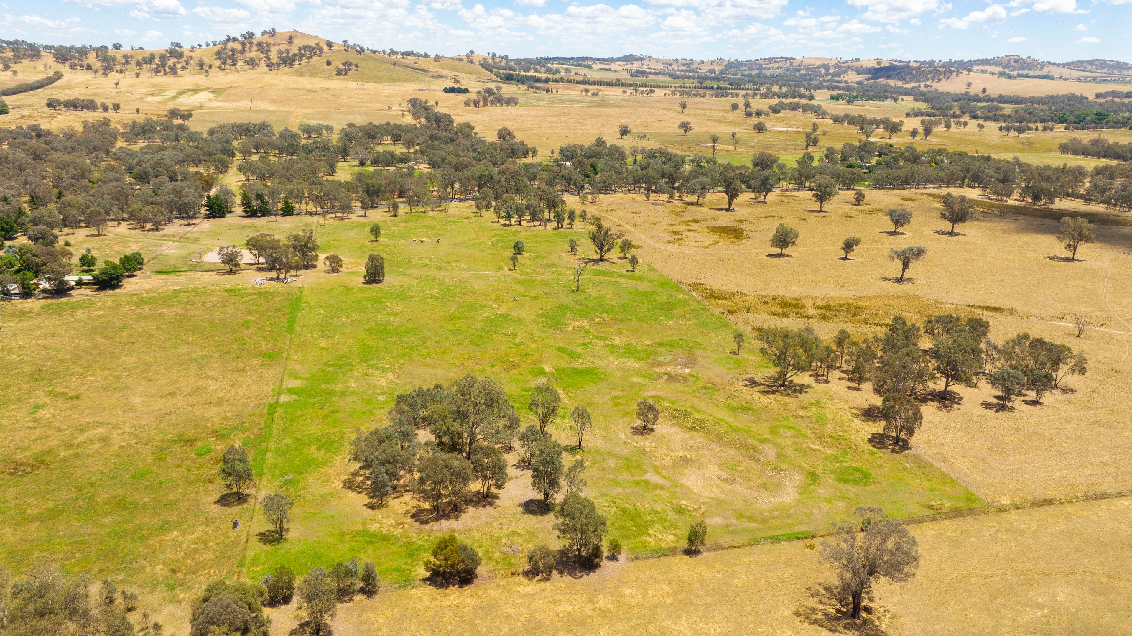 Lot 4 81 Bungowannah Road, Jindera, NSW 2642 Land for Sale Ray