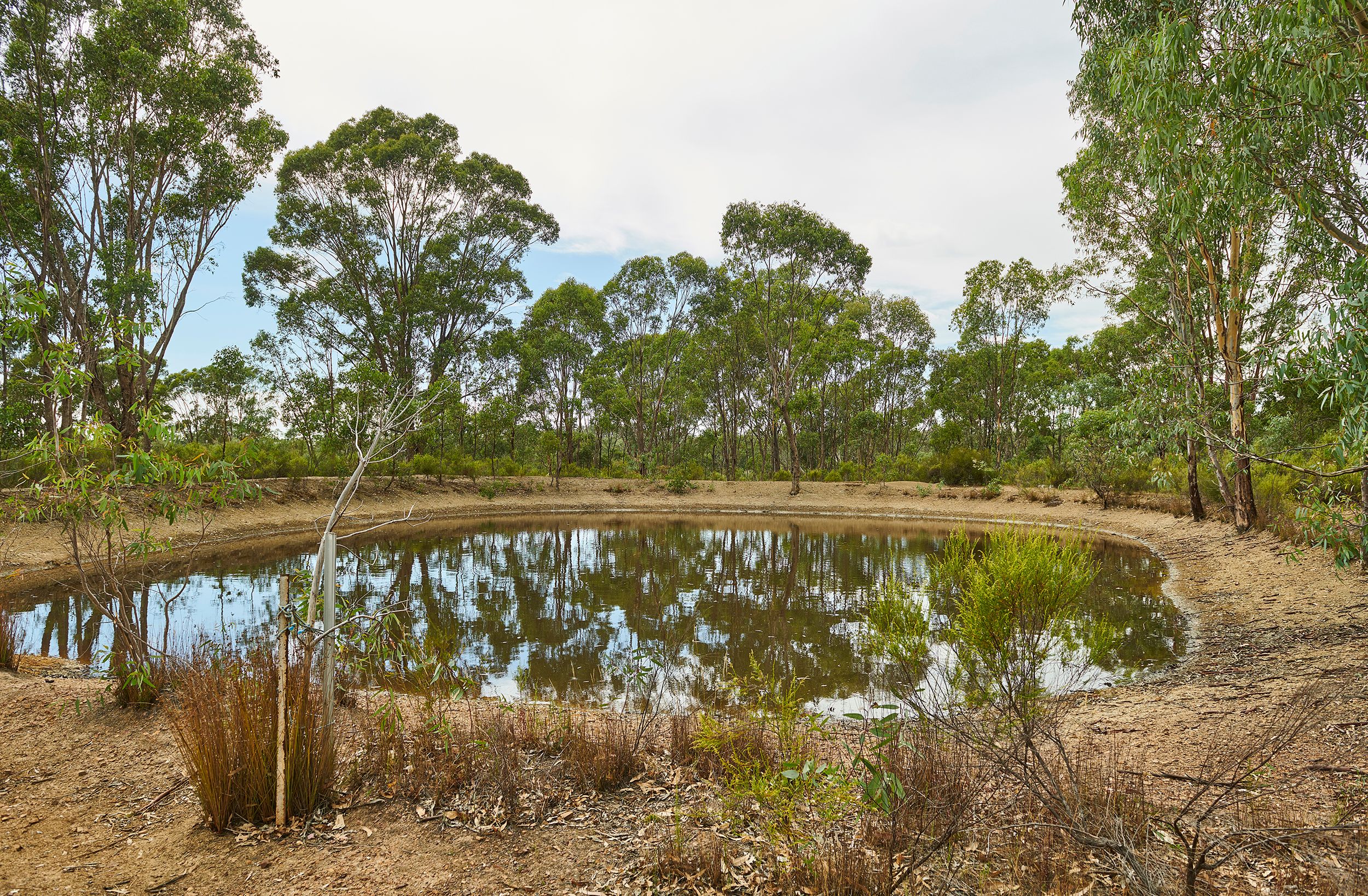 Lot 42 Redburns Lane, Heathcote, VIC 3523