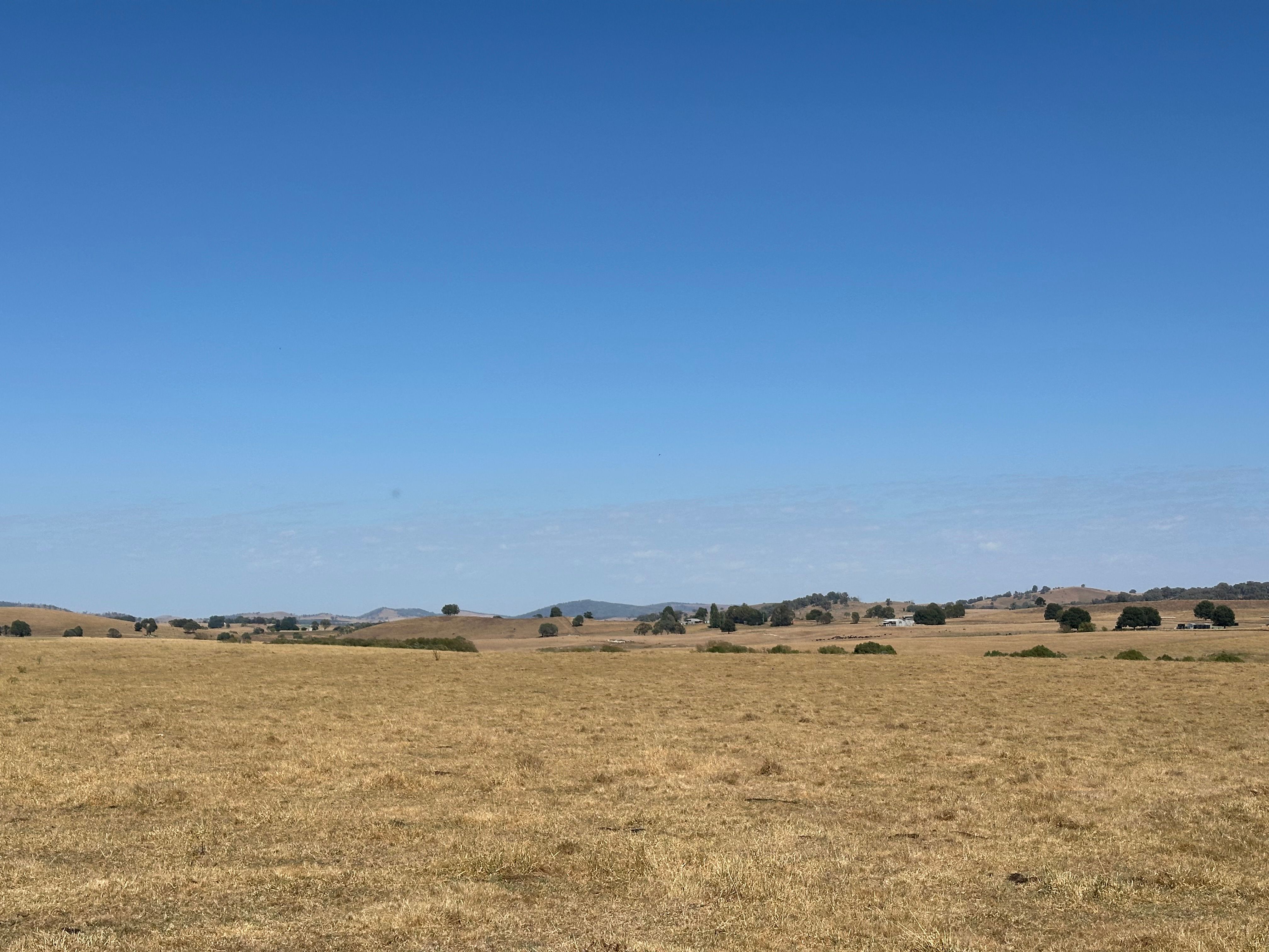 180 Mannus Flats Road, Mannus, NSW 2653 Rural Property for Sale Ray