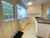 20 Siota Crescent photo 12