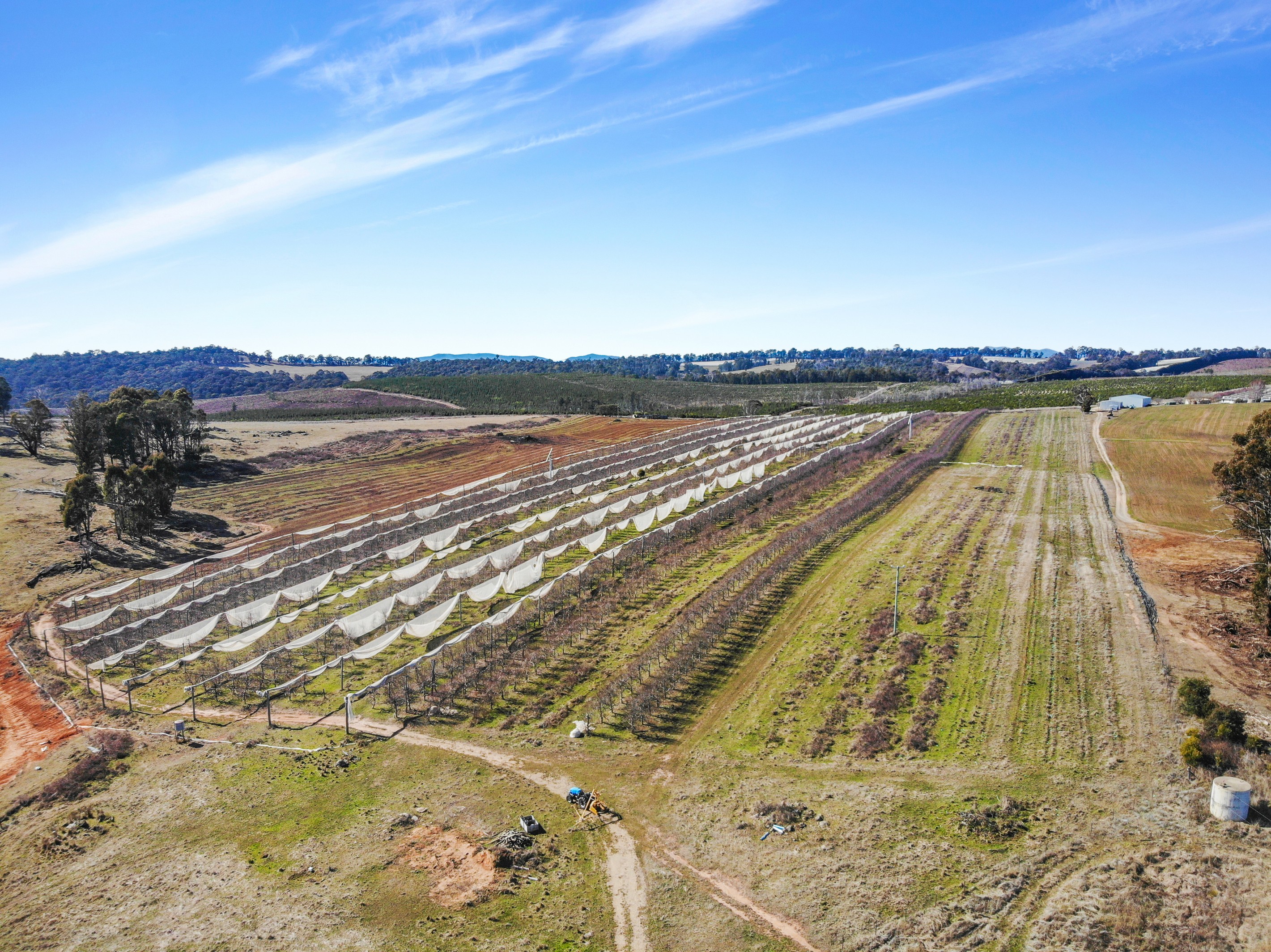 258 Lower Bago Road, Batlow, NSW 2730