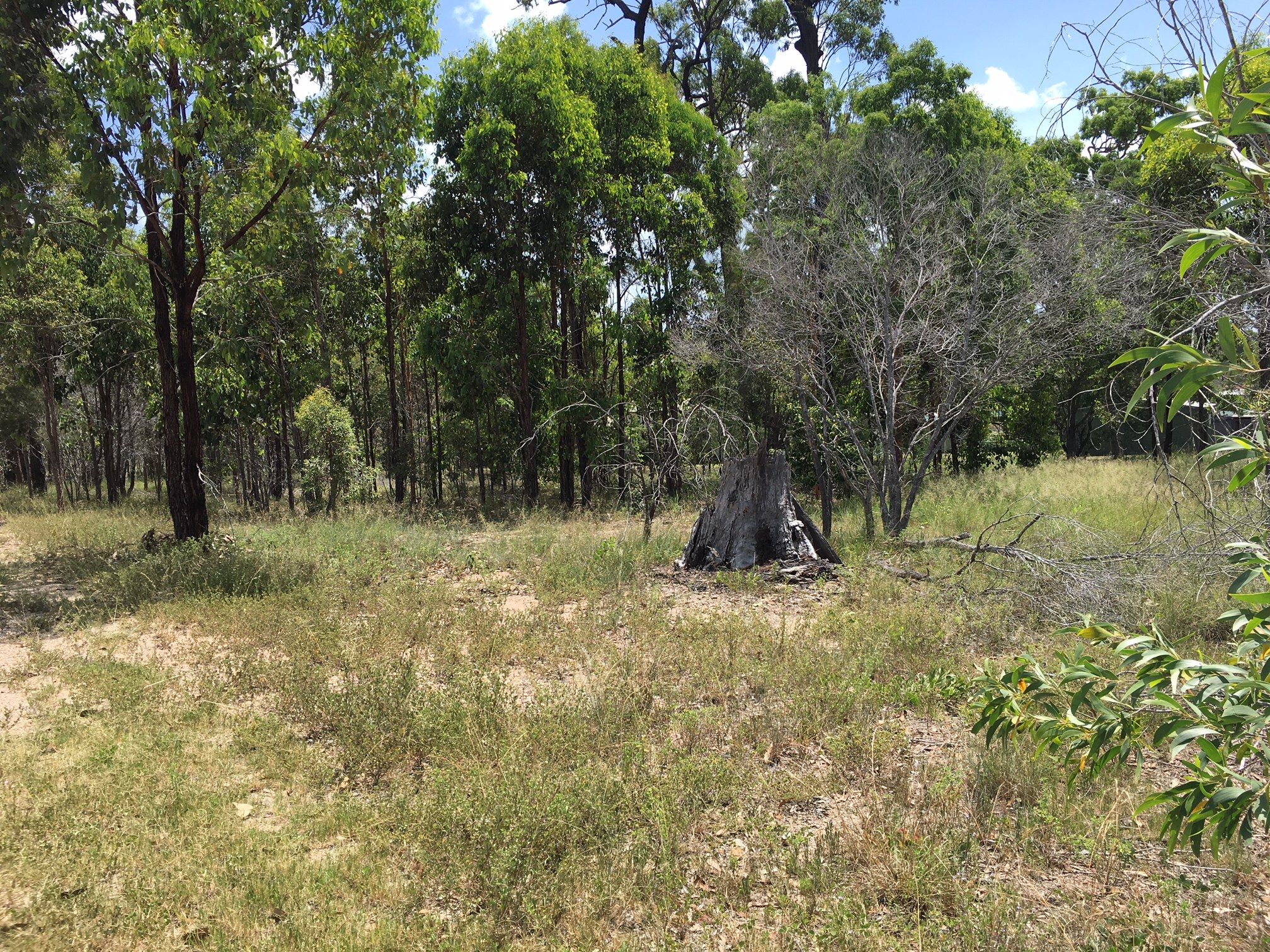 17 Southfork Circuit, Burrum Heads, QLD 4659
