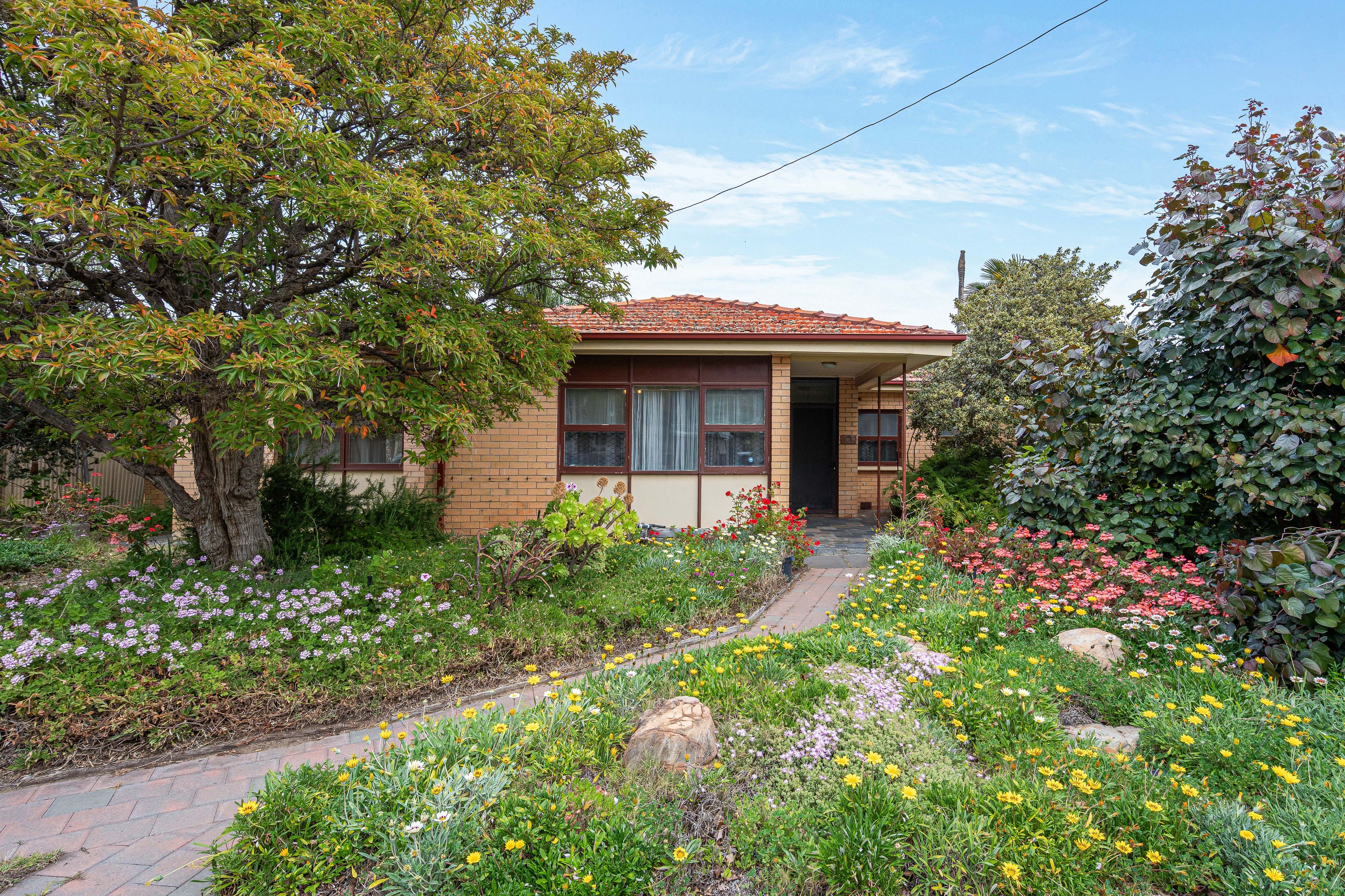 19 Brecon Street, Lockleys, SA 5032