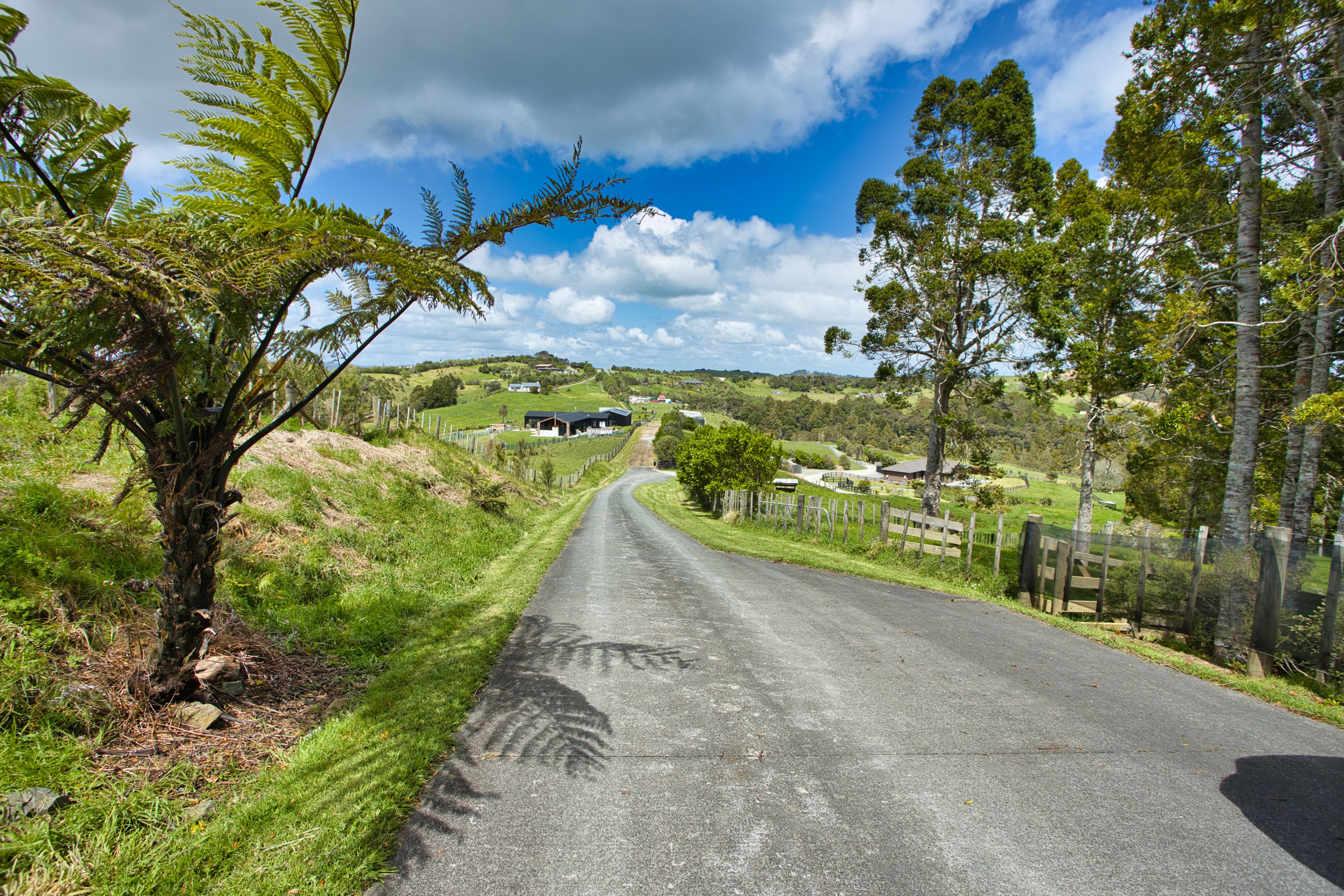 Lot 3, 292 Cames Road, Mangawhai, Kaipara District 0505 Lifestyle