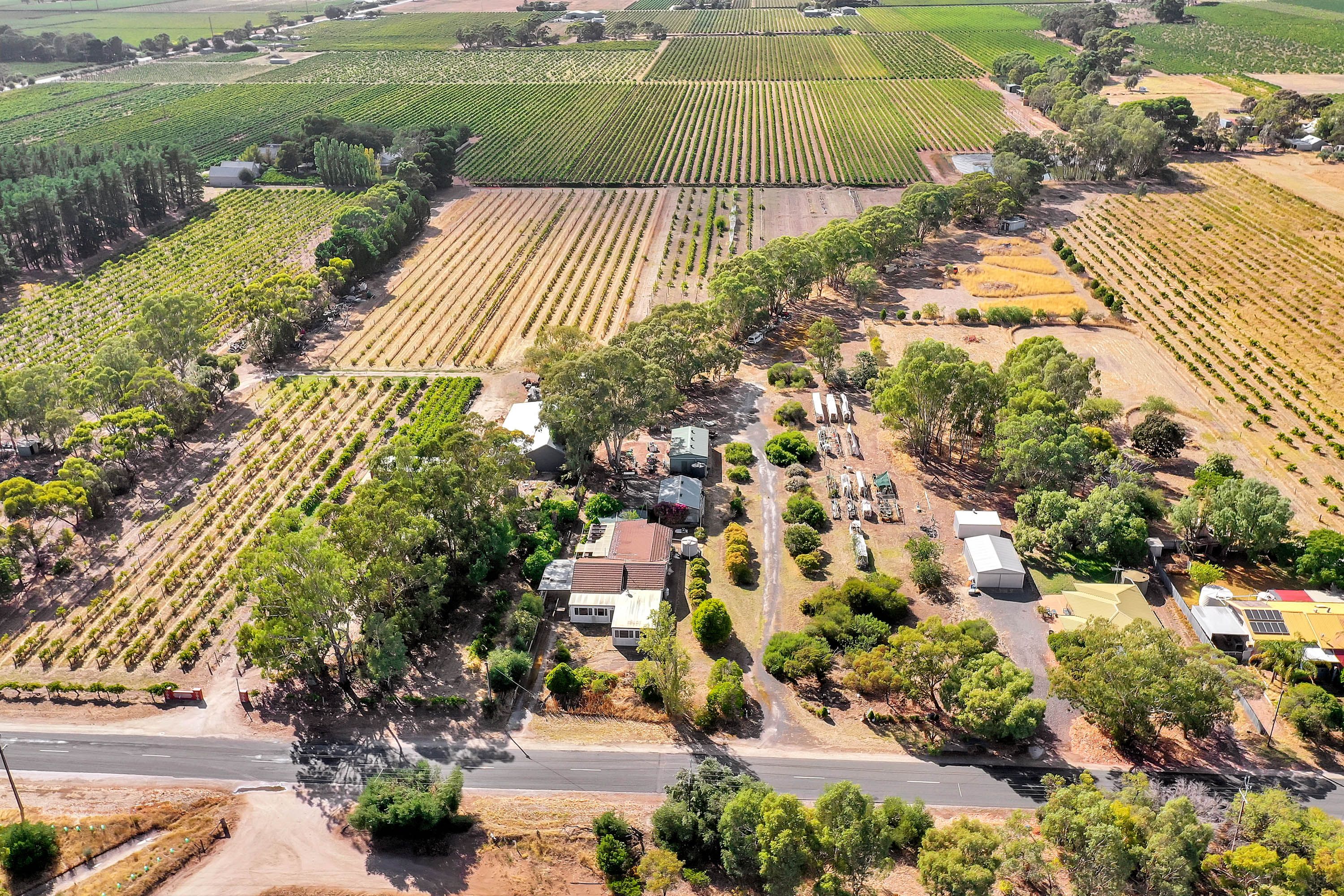 224 Research Road, Tanunda, SA 5352
