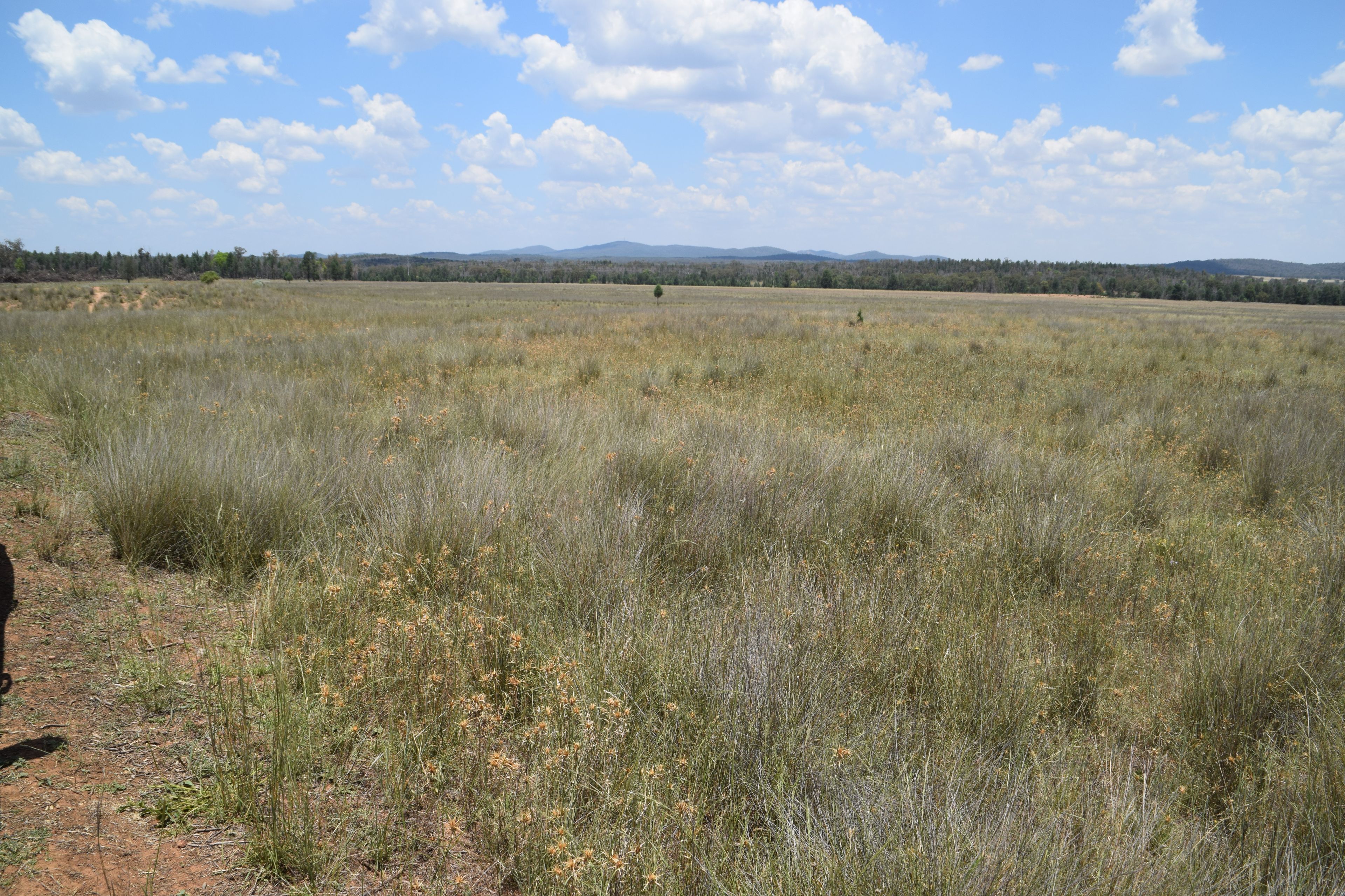 'Illapa' 238L Narromine Road — photo 24 of 30
