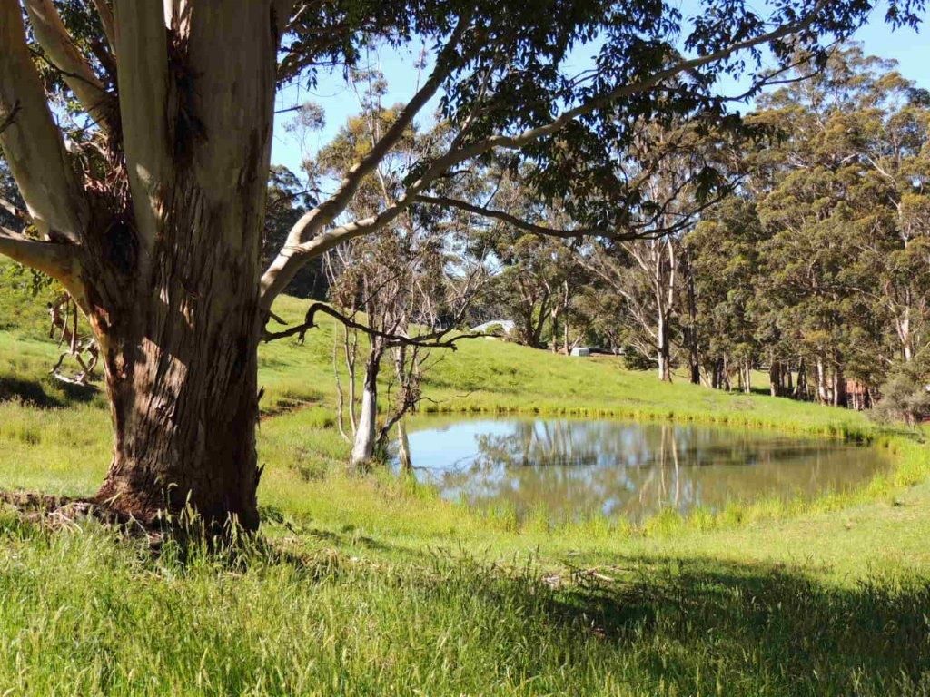 1674 South Coast Highway, Denmark, WA 6333