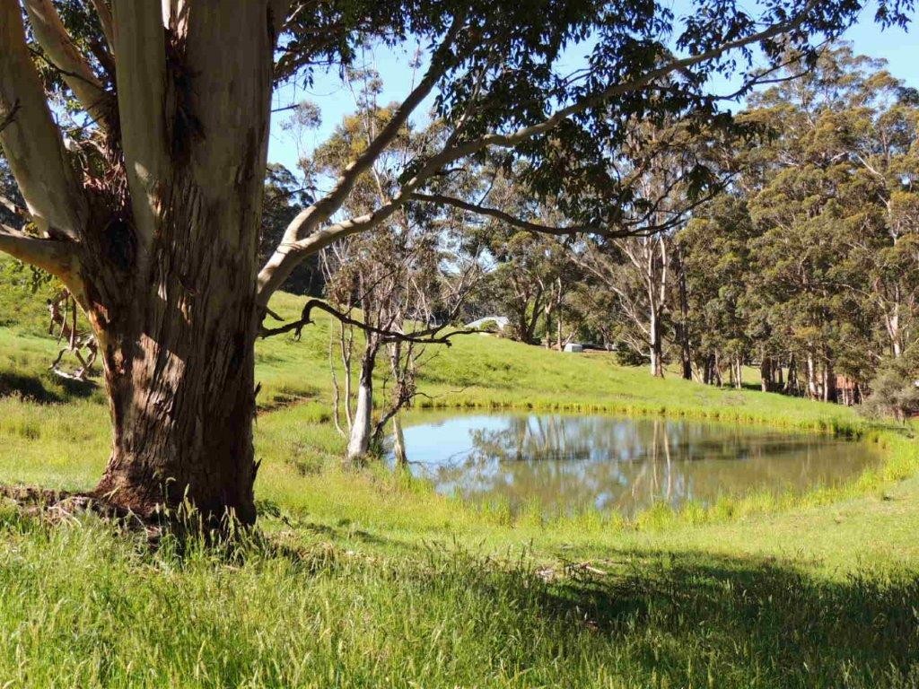 1674 South Coast Highway, Denmark, WA 6333