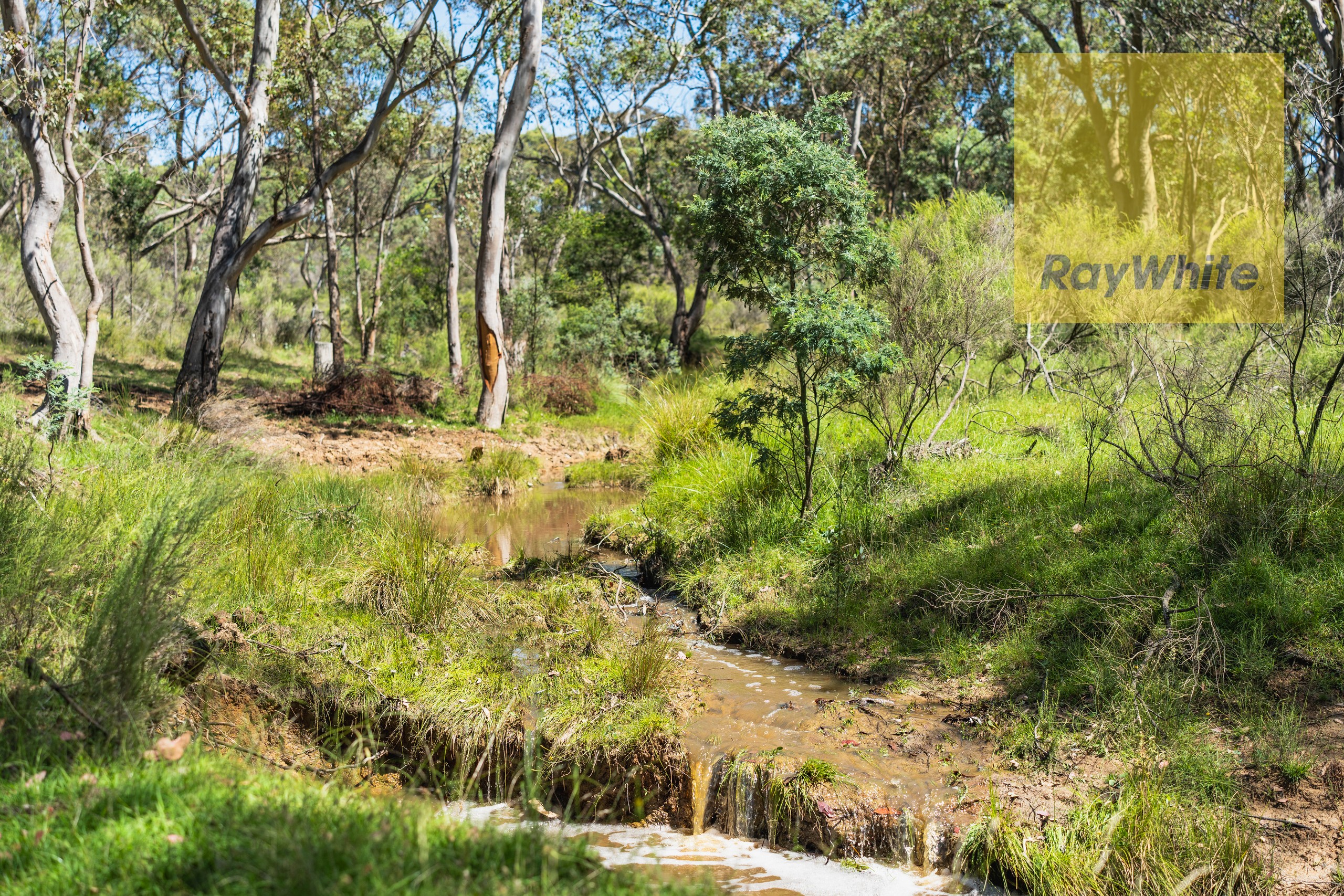 1578 Blakney Creek North Road, Bevendale, NSW 2581