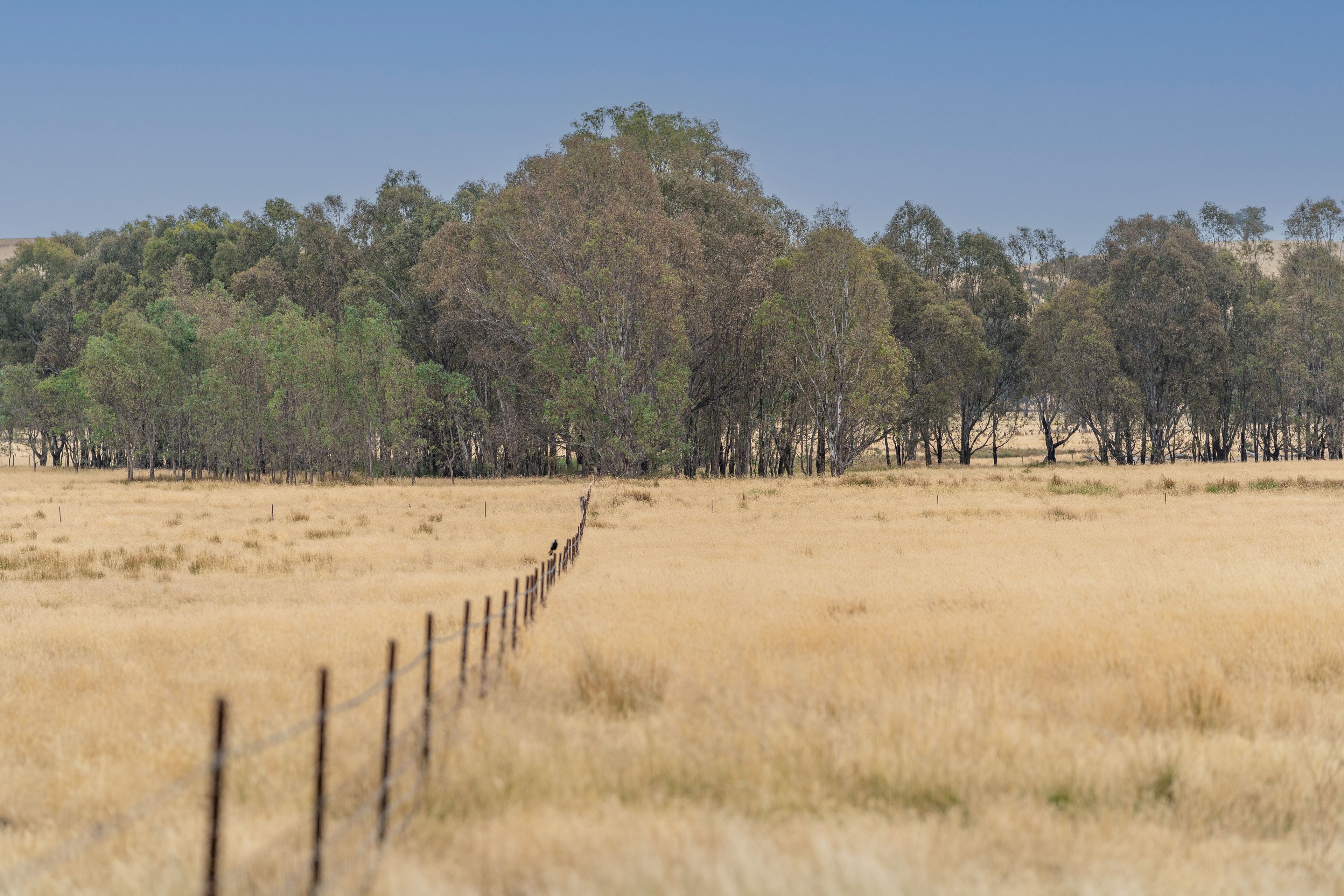 785a Highlands Road, Whiteheads Creek, VIC 3660 Rural Mixed Farming