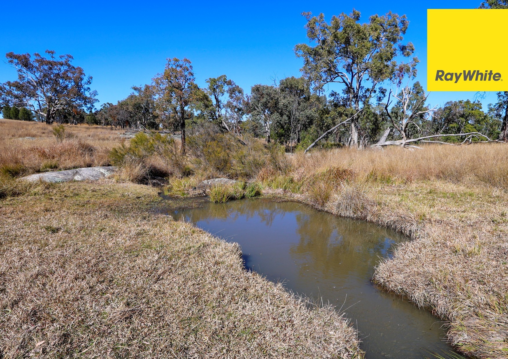 314 Wearnes Road, Bundarra, Inverell, NSW 2360