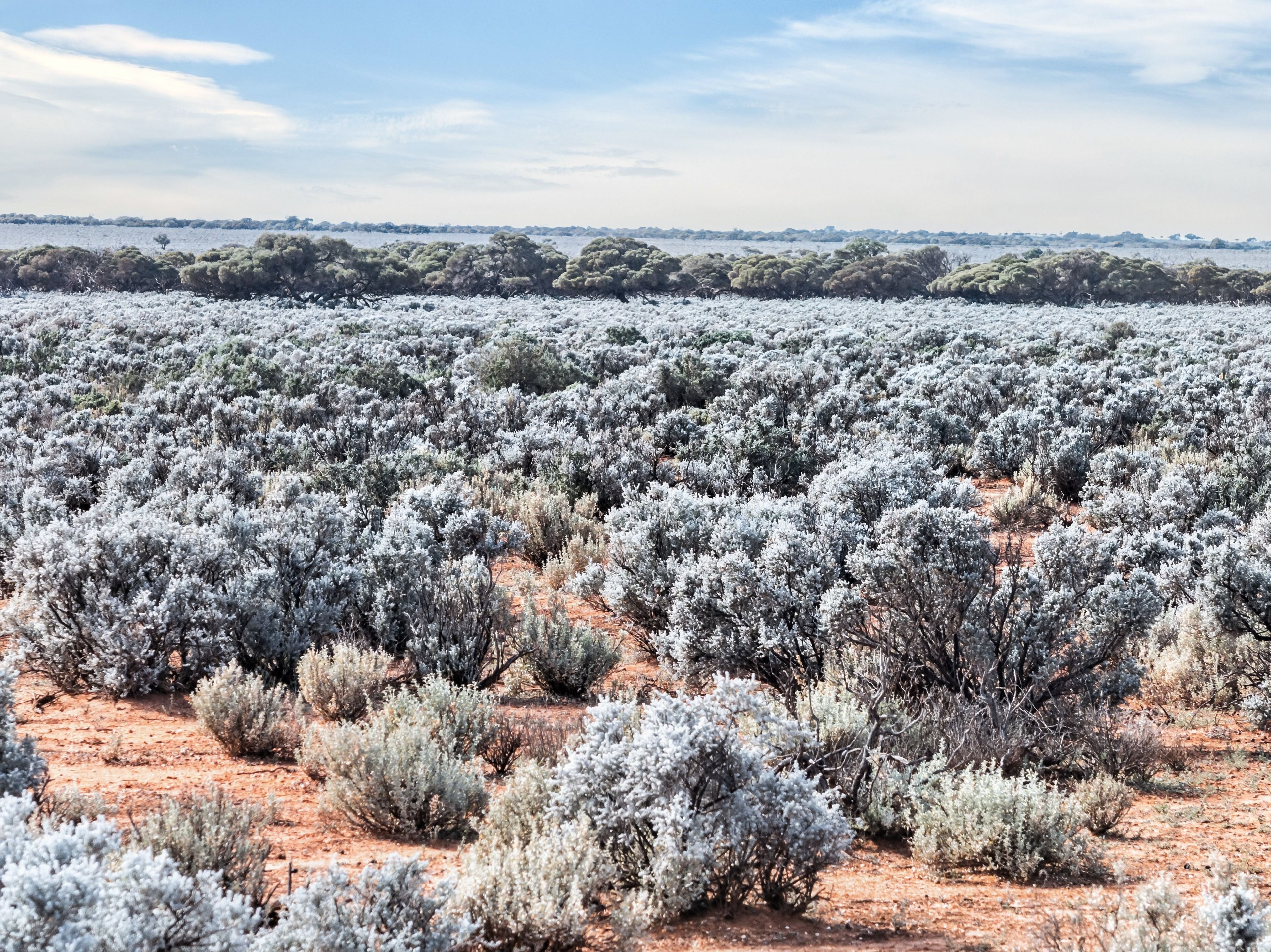 Ray White Rural South Australia