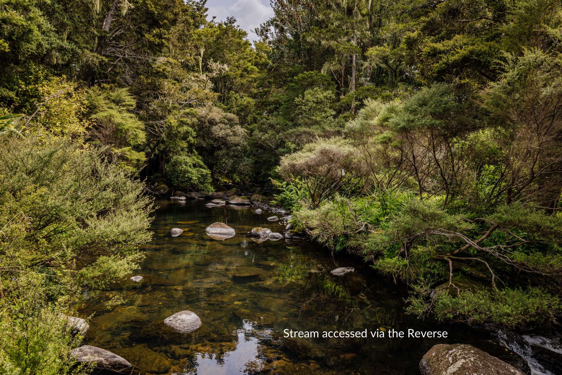 43Z Blue Gum Lane photo 22