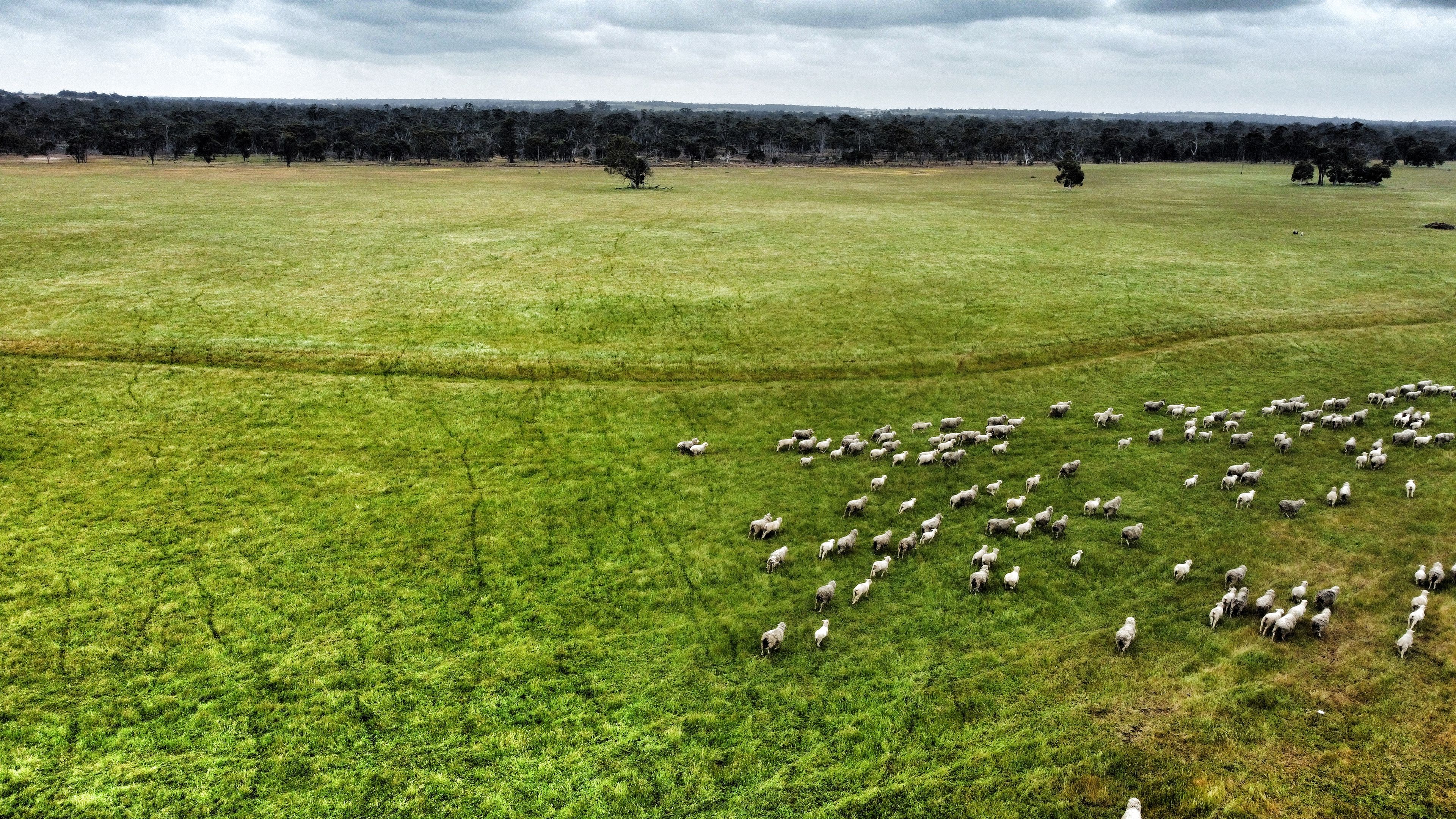 331 Clitchbury Road, Frankland River WA 6396