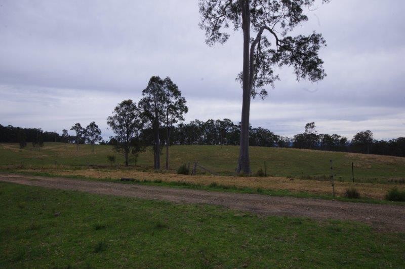 200 Hickmans Road, Brimbin, NSW 2430