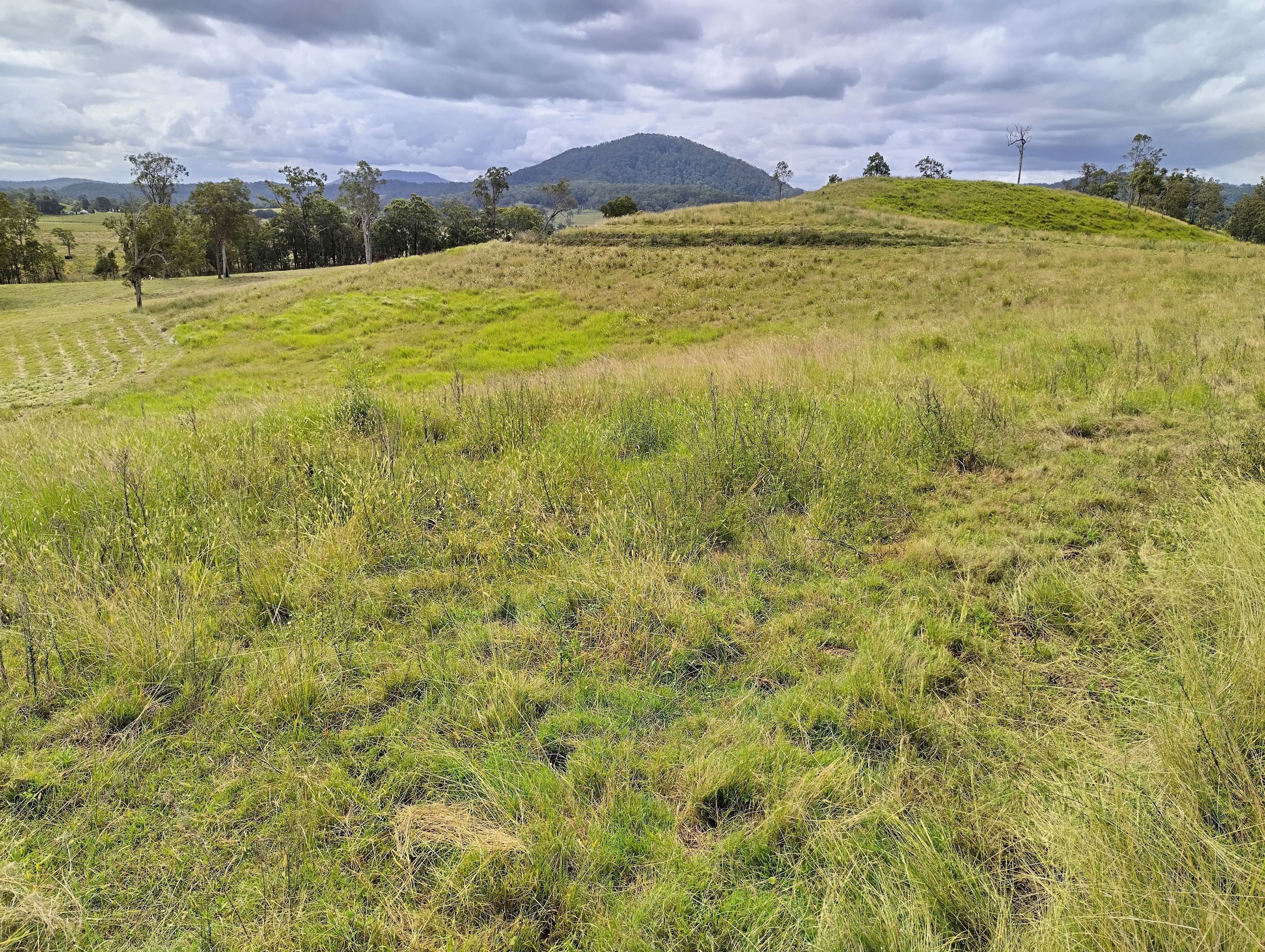 1106 Naughtons Gap Road — photo 11 of 27