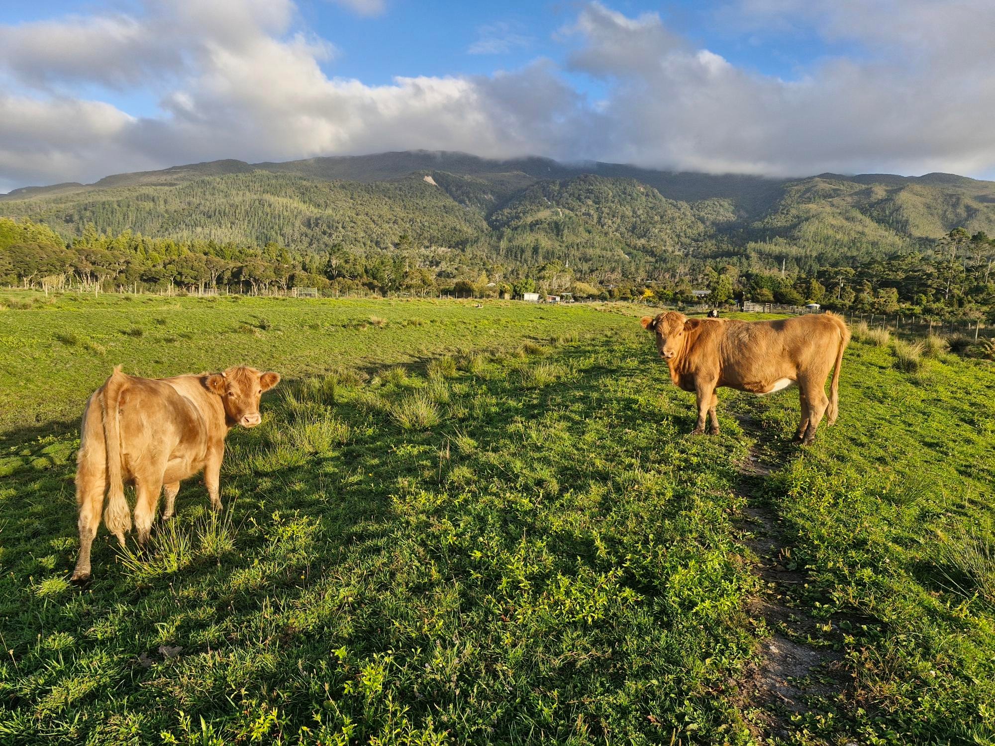 2/127 Powerhouse Road, Westport, Buller District