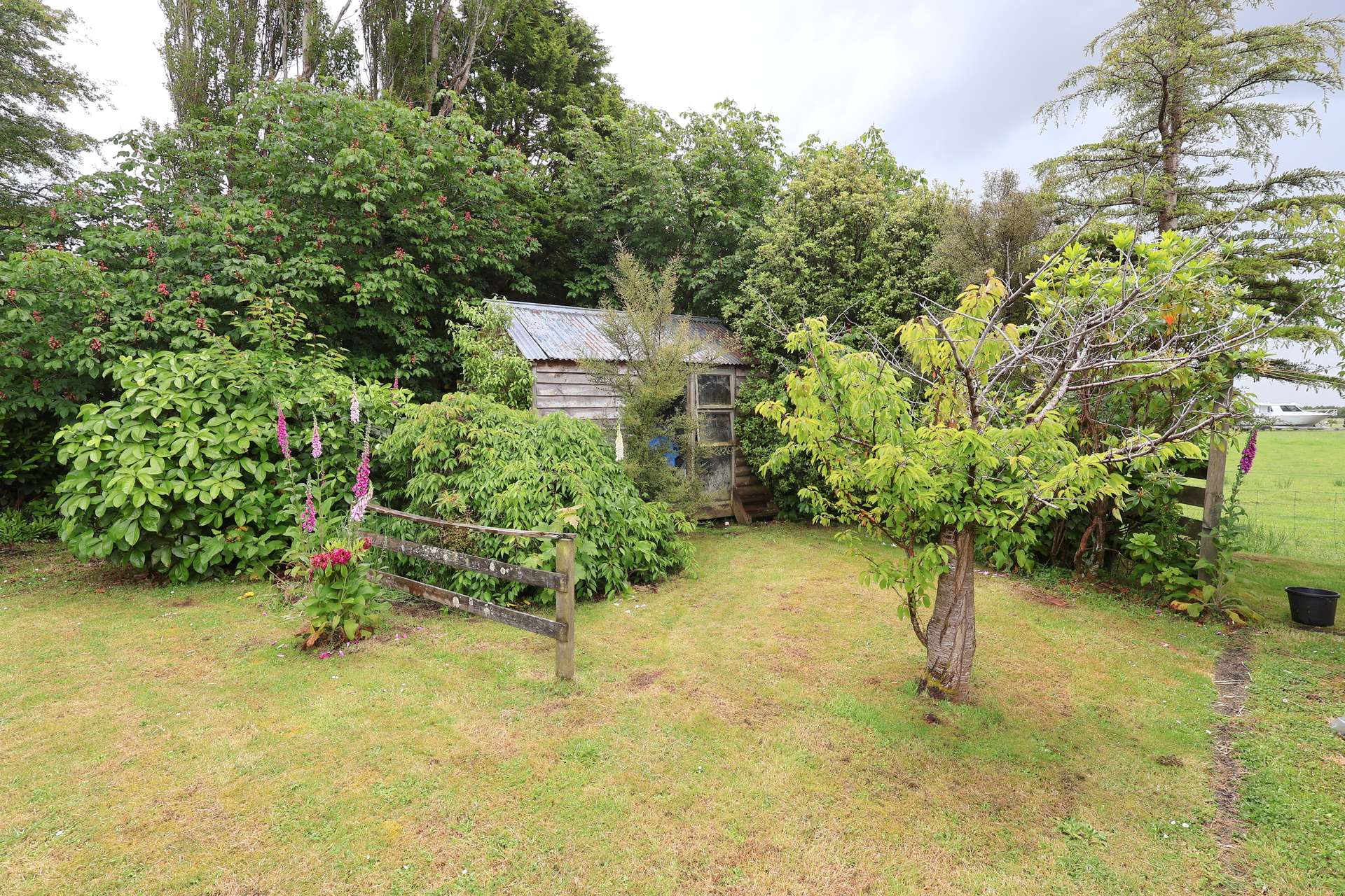 14 Marama Avenue North photo 27