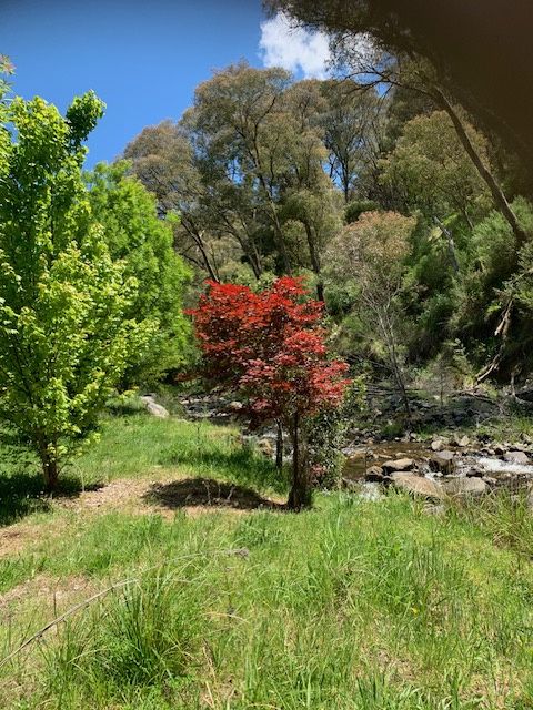 Part 1420 Goobarragandra Road — photo 9 of 11