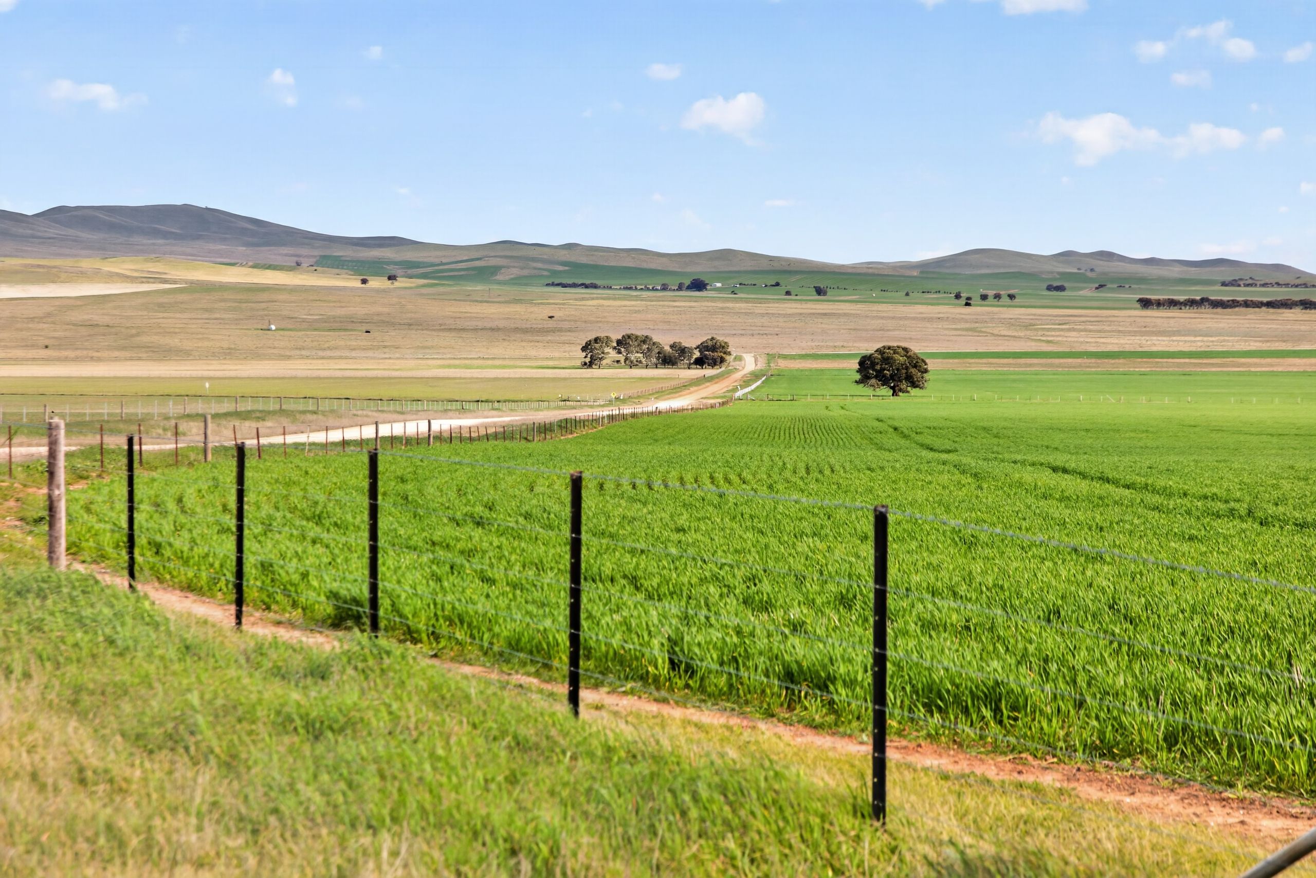 'Glen's' Cattle Station Road — photo 7 of 15