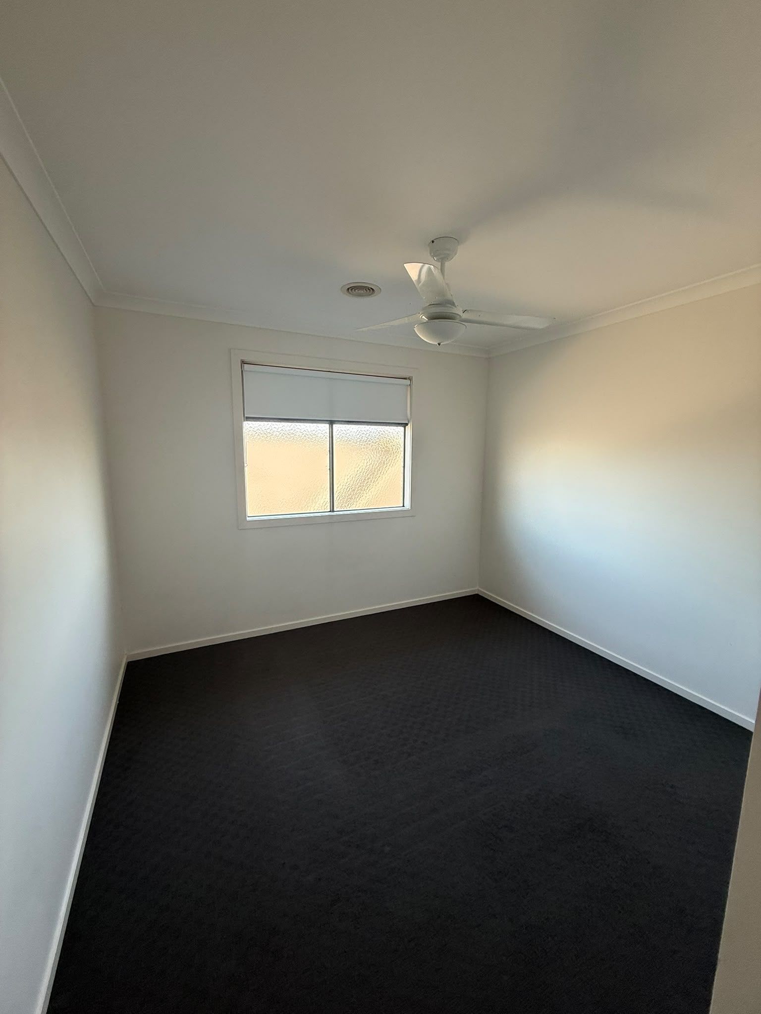 12 Arnott Street — photo 8 of 13