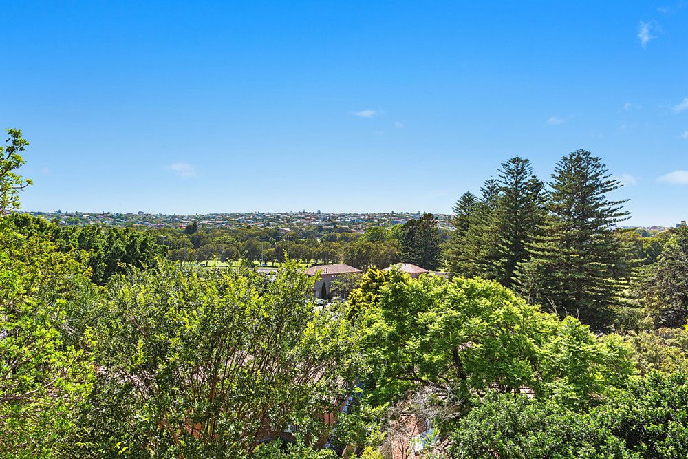 75 Boronia Road, Bellevue Hill NSW 2023