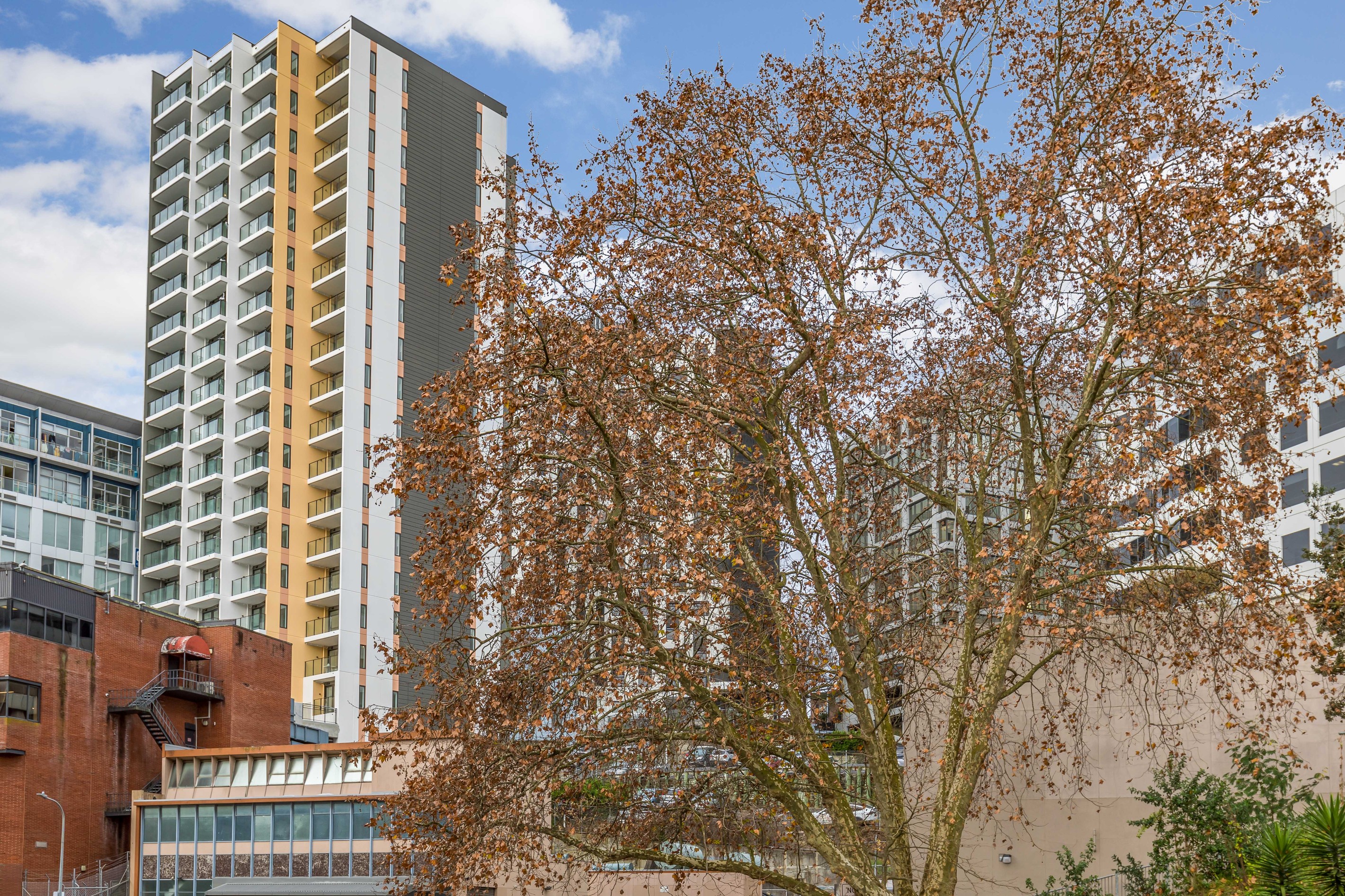 79 Airedale Street, Auckland Central, Auckland City