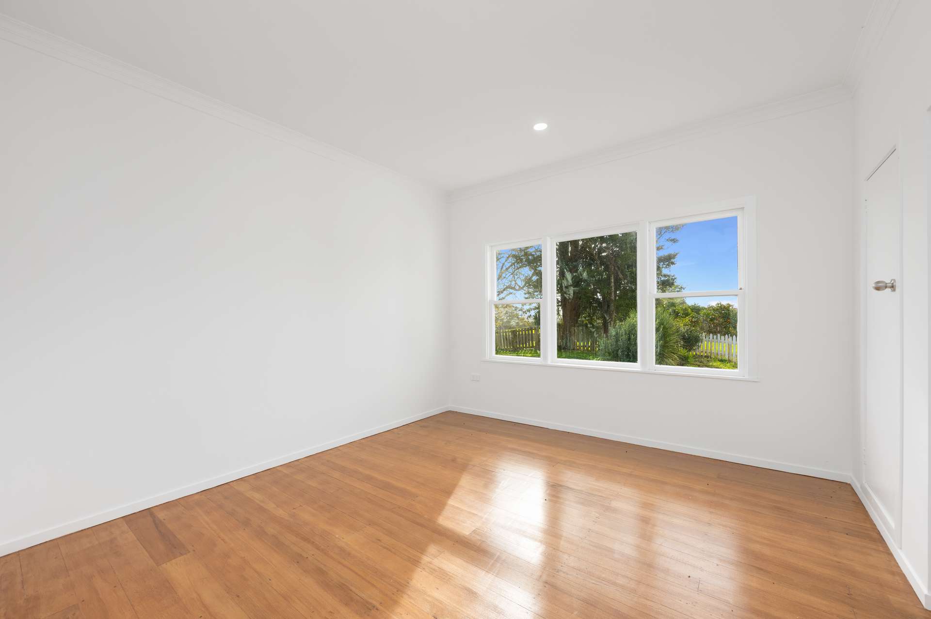 241 Rodney Street photo 23