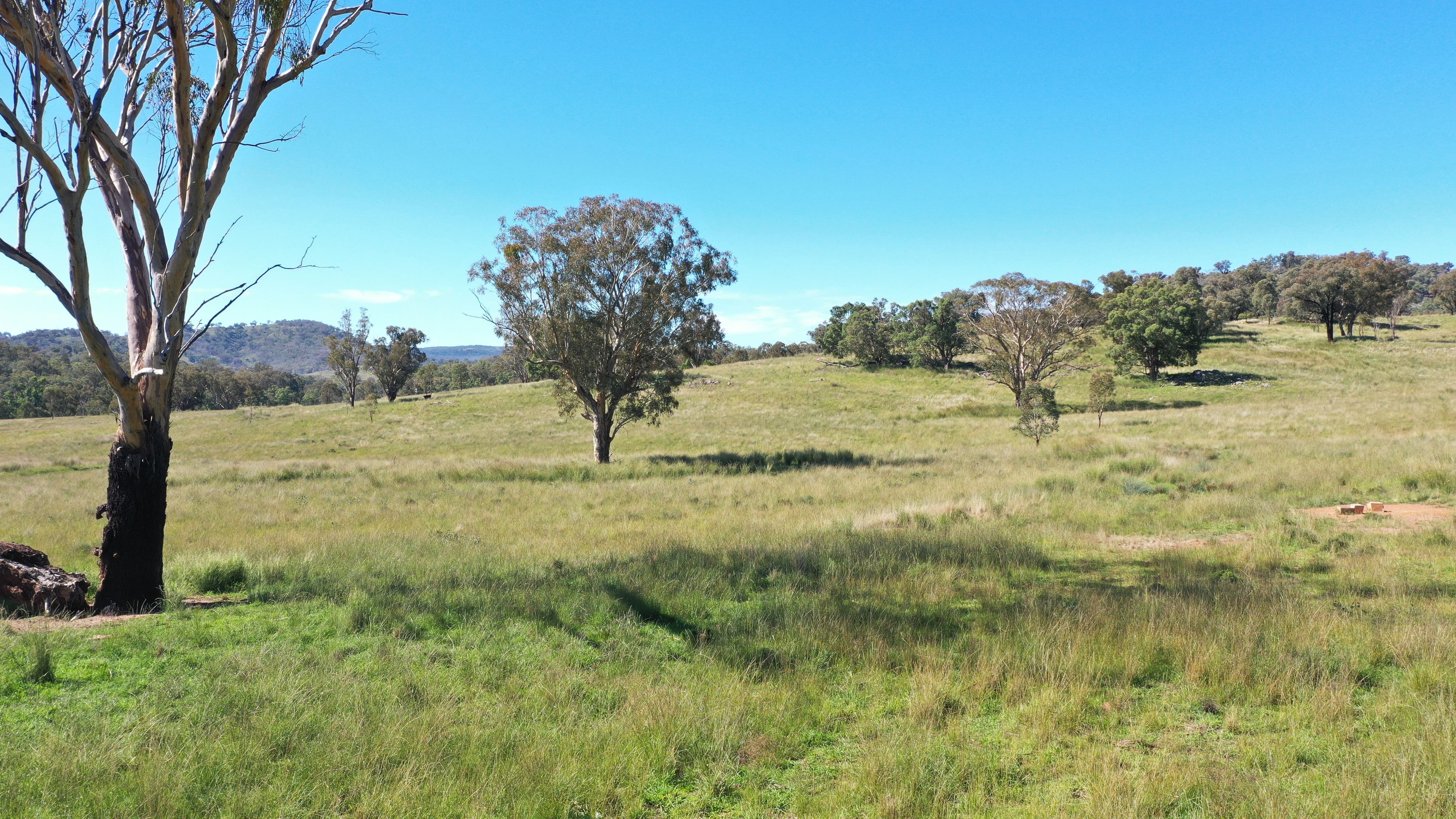 1058 Old Bundarra Road, Barraba, NSW 2347 Sold Rural Property Ray White Tamworth
