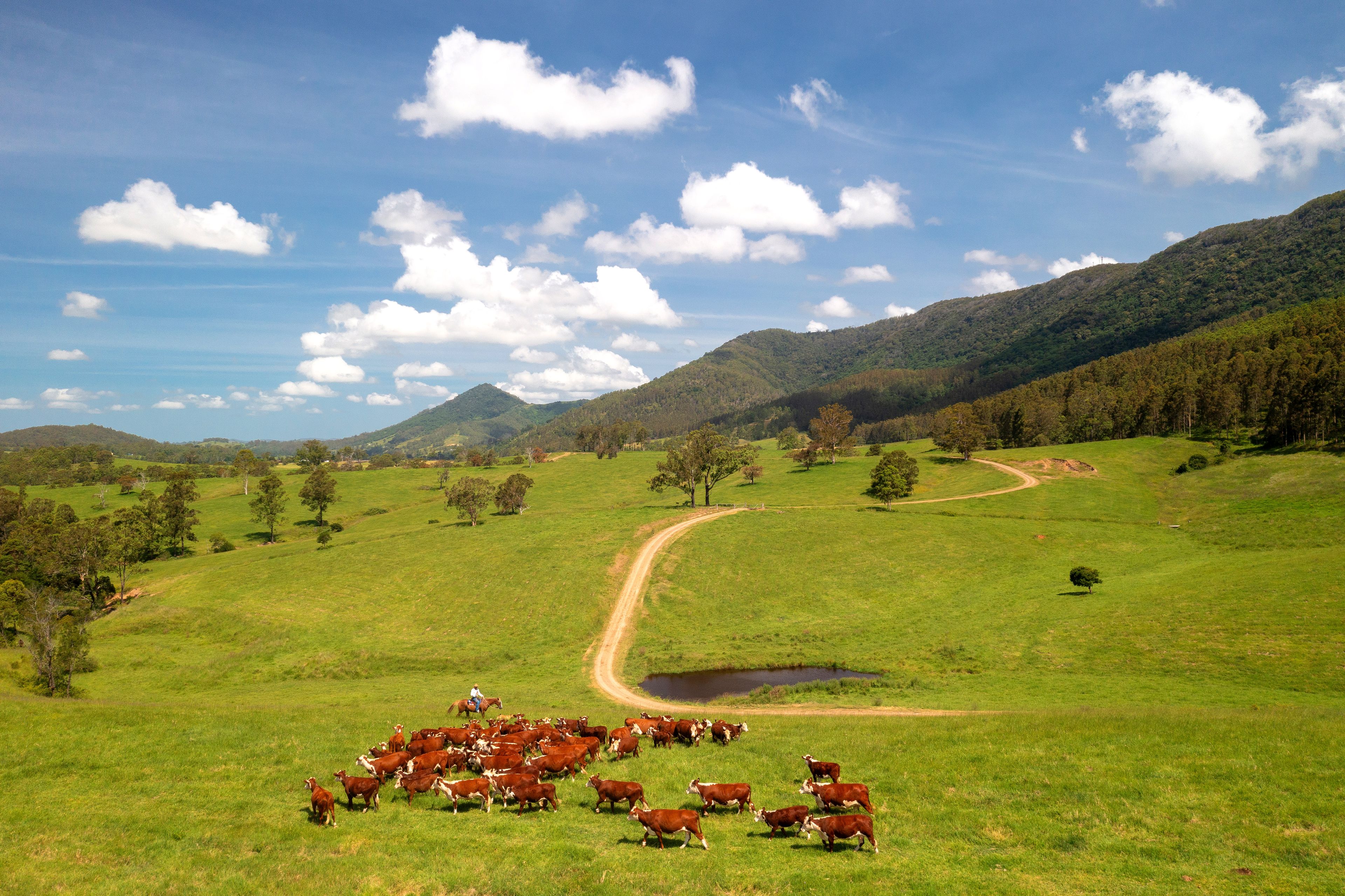 'Somerset' 579 Somerset Road, Kimbriki, NSW 2429