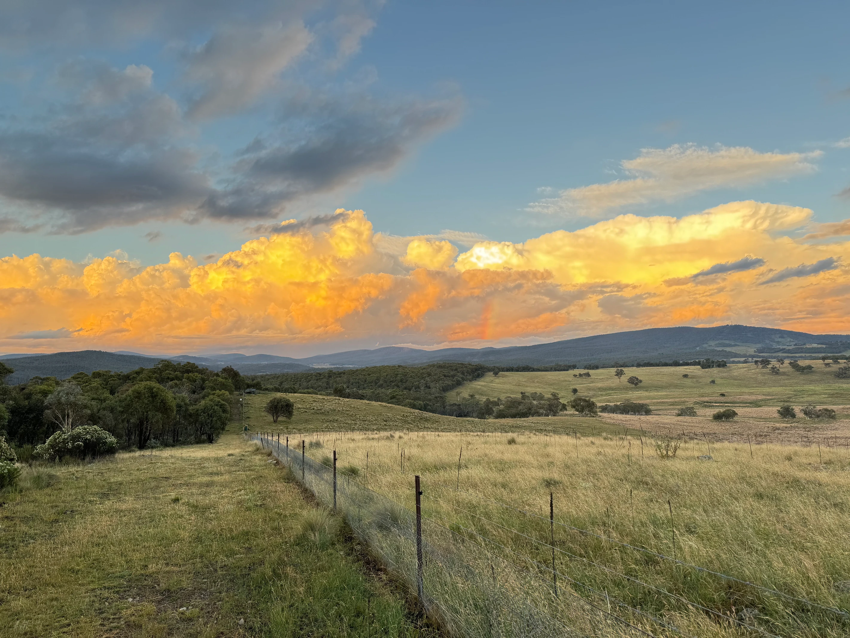 474 Jones Plain Road, Shannons Flat, NSW 2630