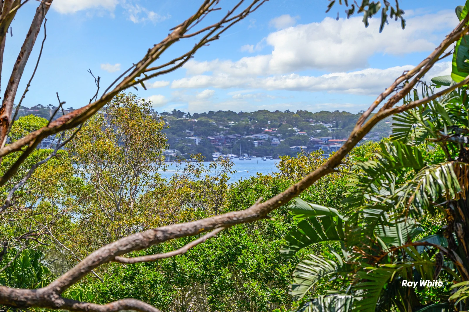 24 Woodfield Avenue, Bundeena, NSW 2230