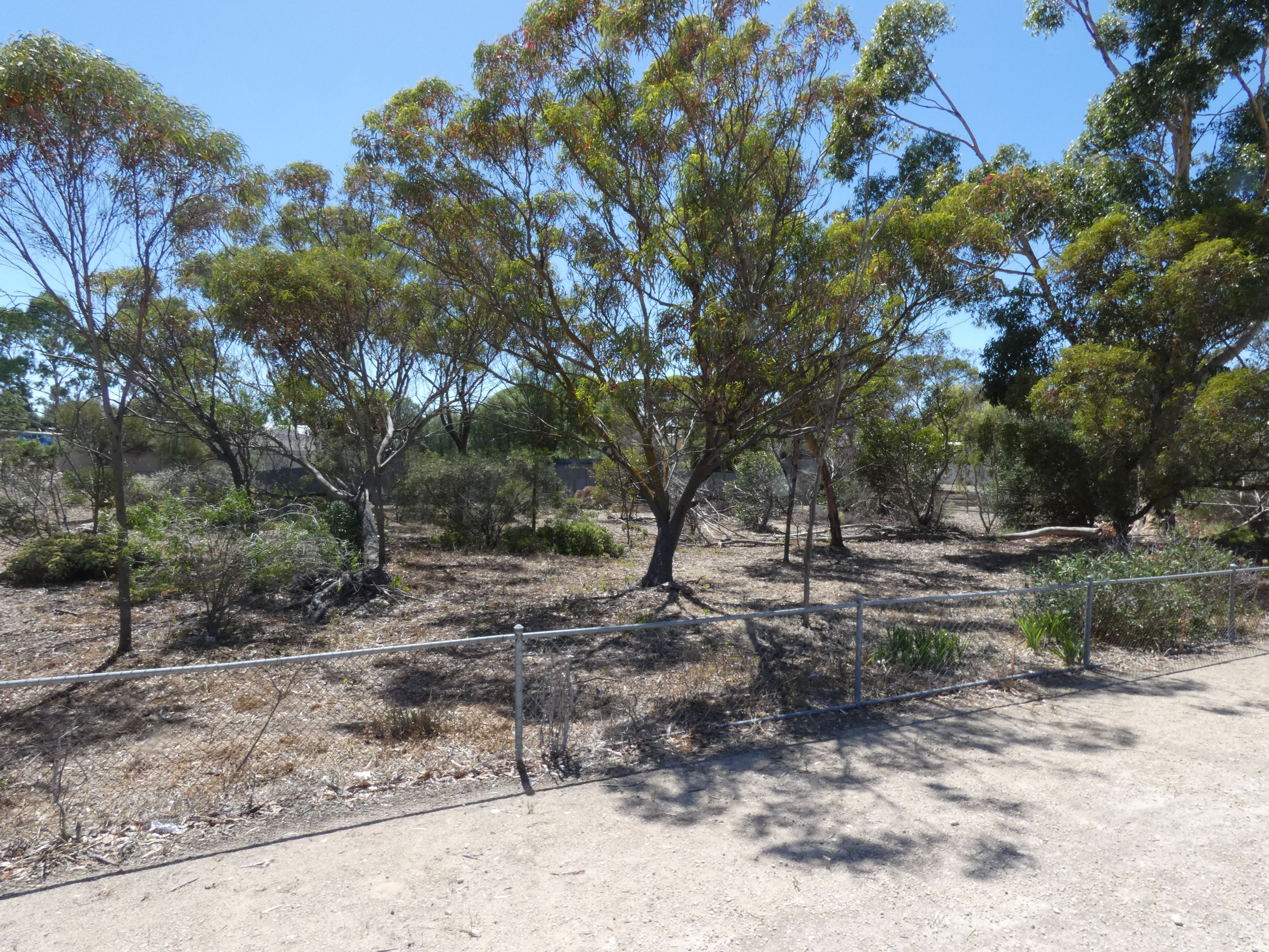 39 Trevena Road, Tailem Bend, SA 5260 Sold Land Ray White Mount Barker Woodside Nairne