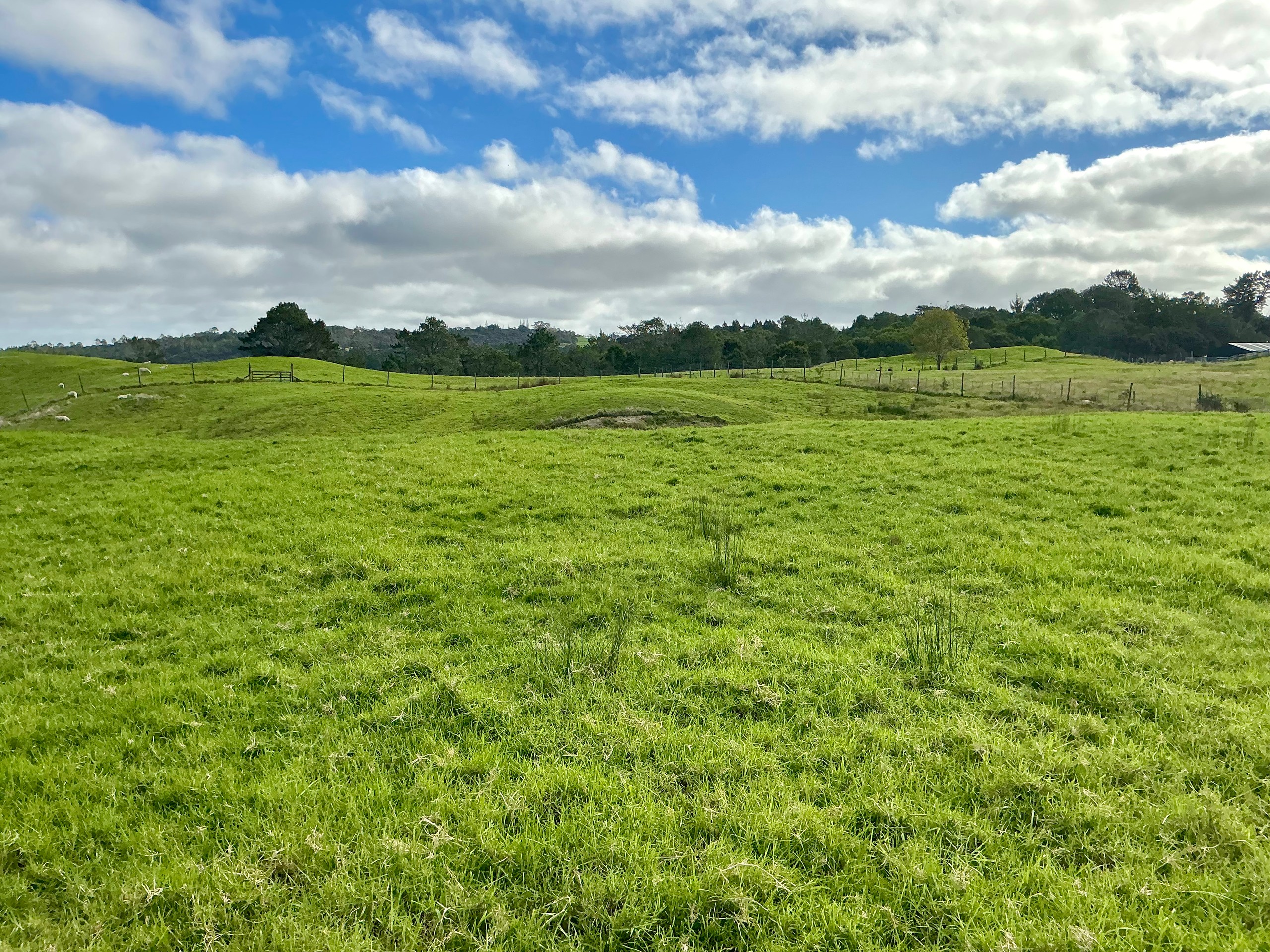 132B Gatfield Road, Kaukapakapa, Rodney