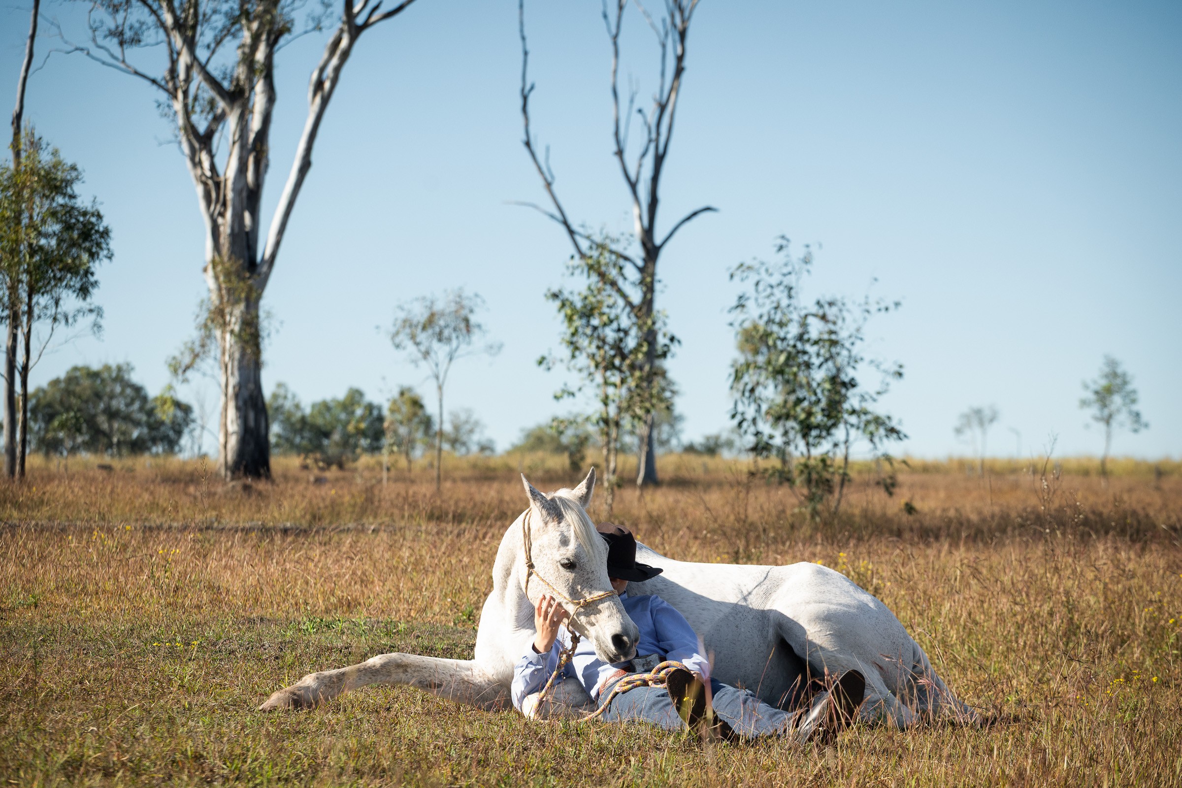 4236 Cunningham Highway, Mutdapilly, QLD 4307