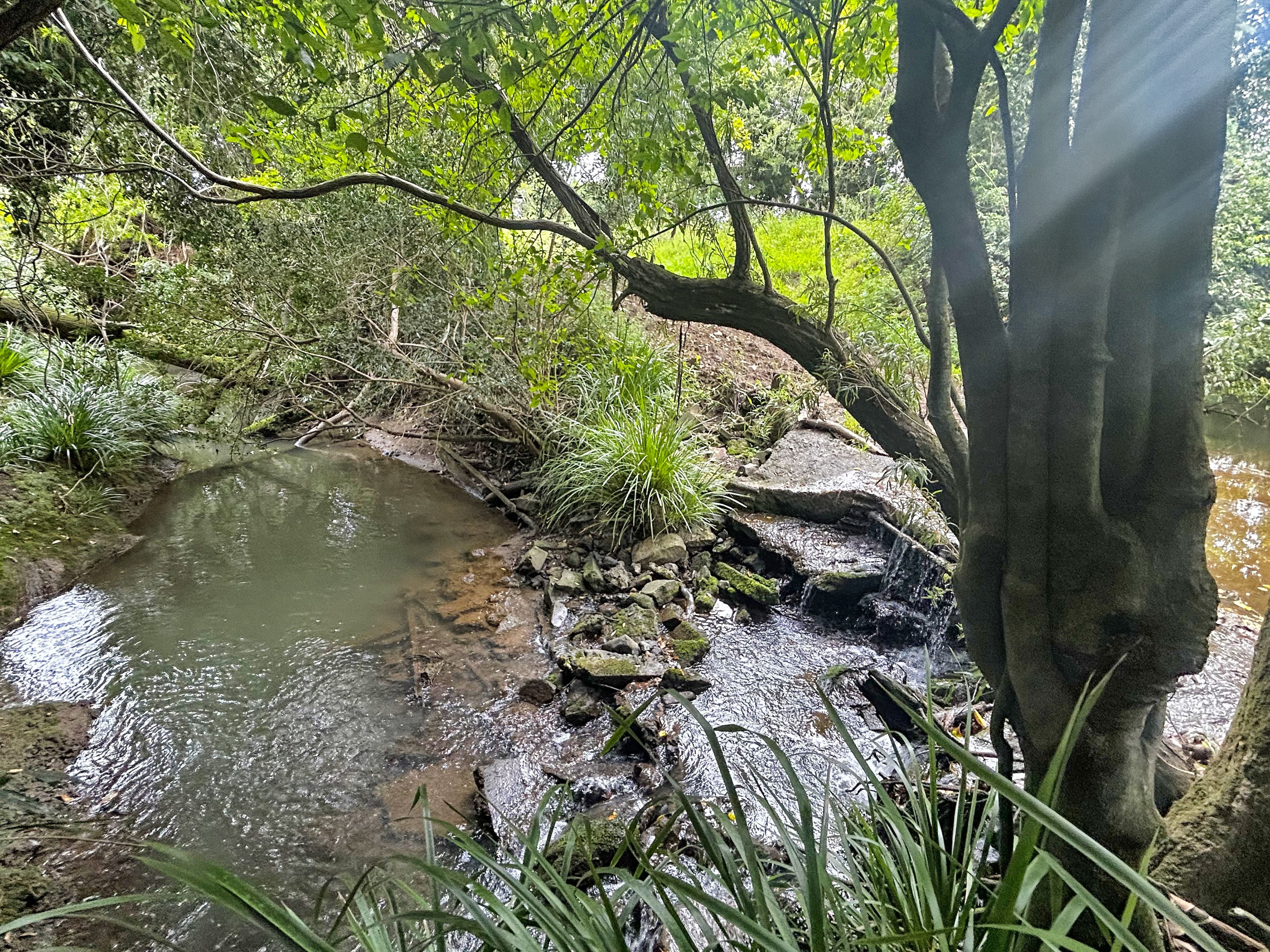 Lot 146 Nolans Road — photo 10 of 14
