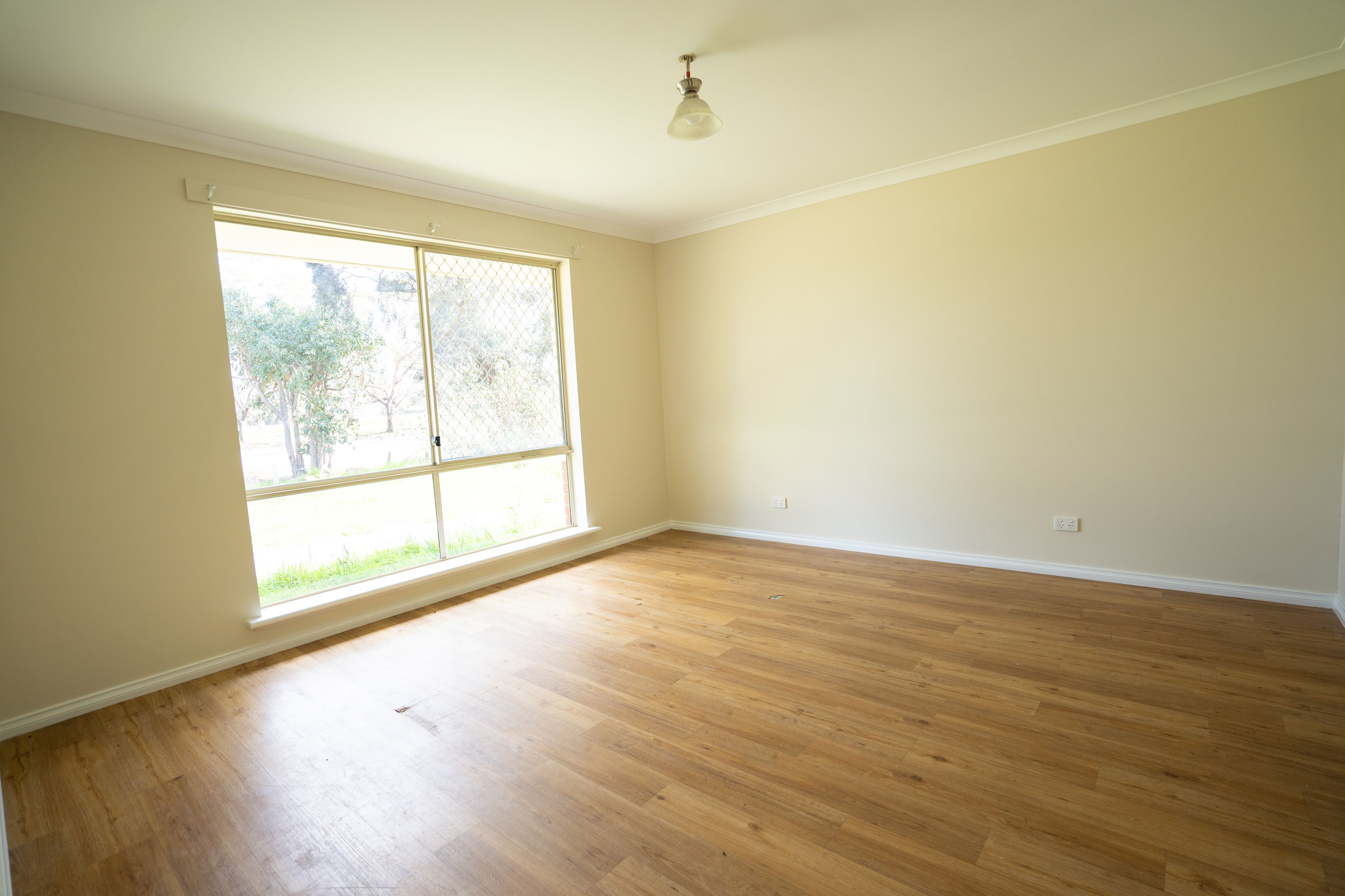 8 Norrish Street, Tambellup, WA 6320 House for Sale Ray White Rural