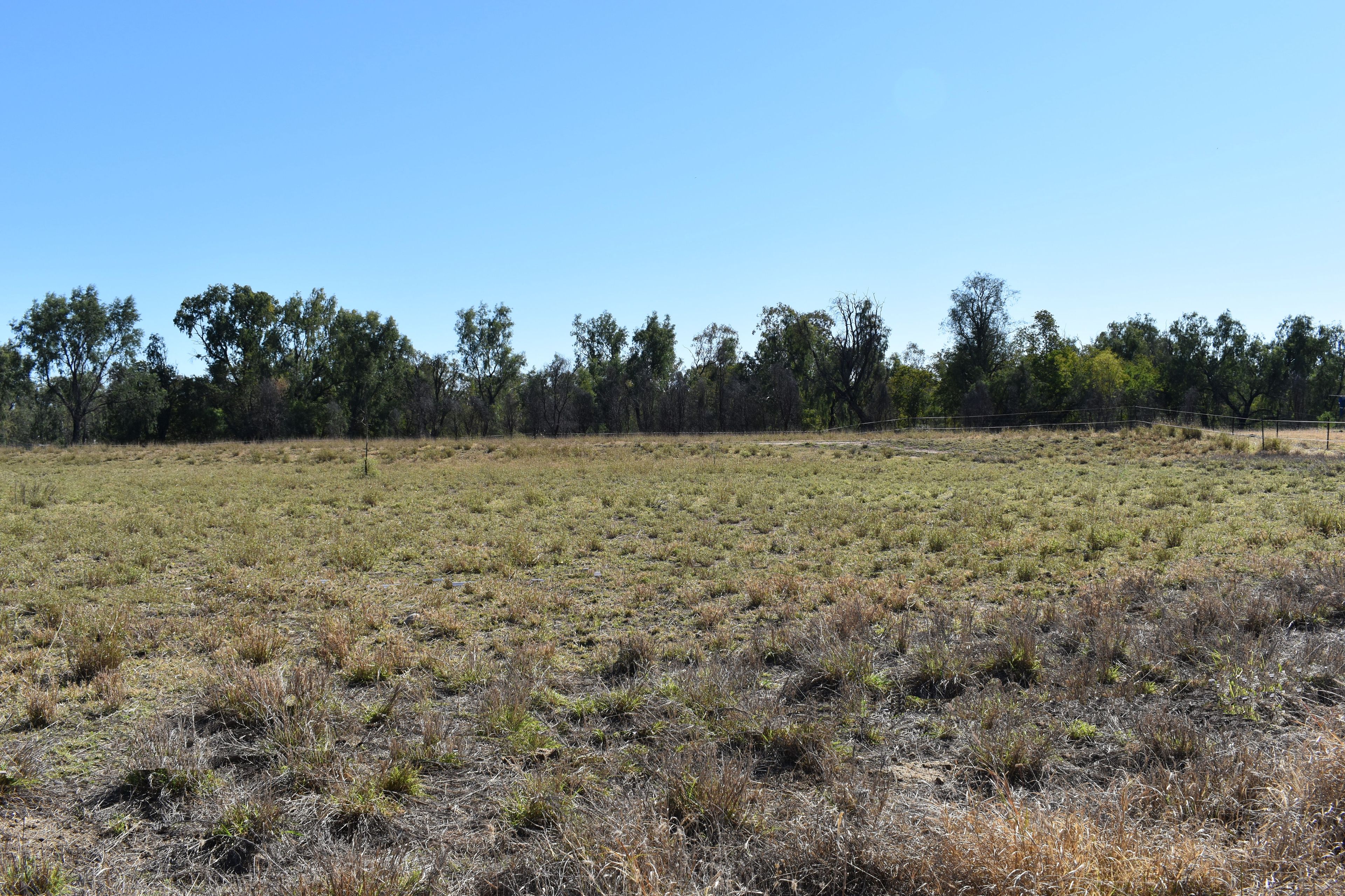 Lot 3 Chudleigh Drive, Emerald, QLD 4720