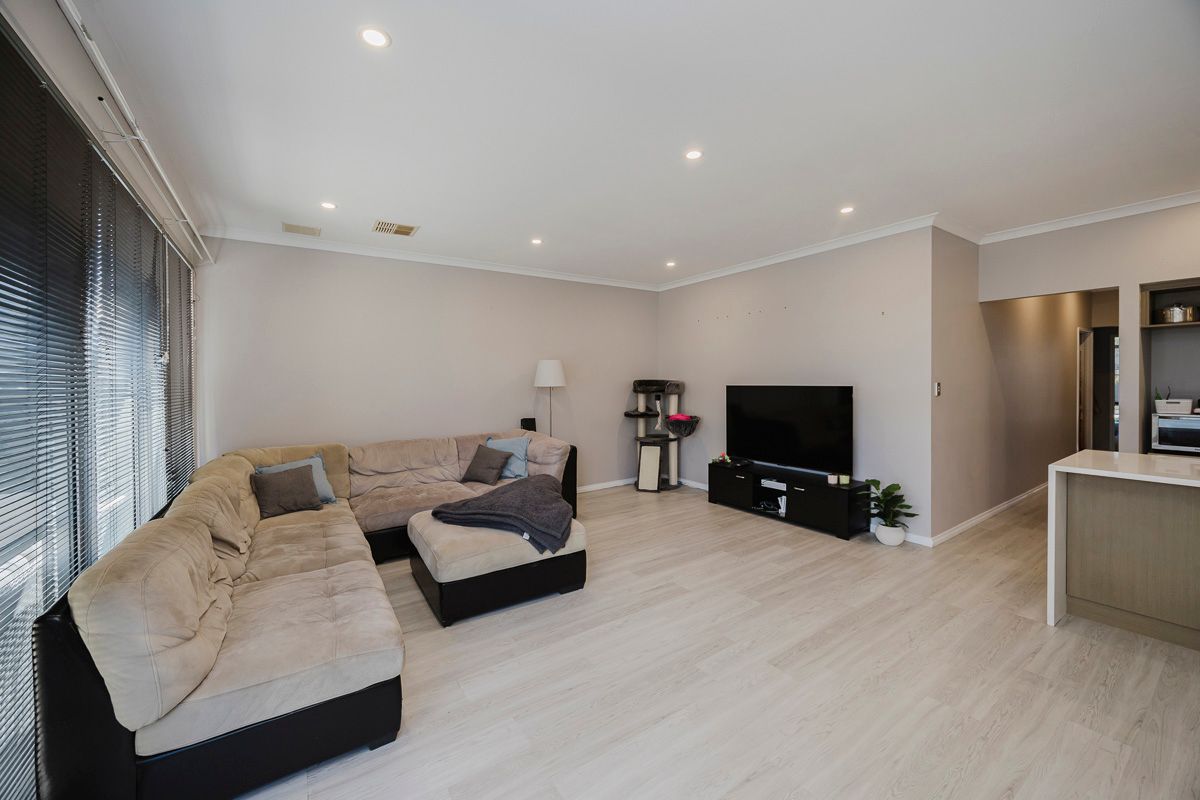 19 Carrabelle Street, Butler, WA 6036