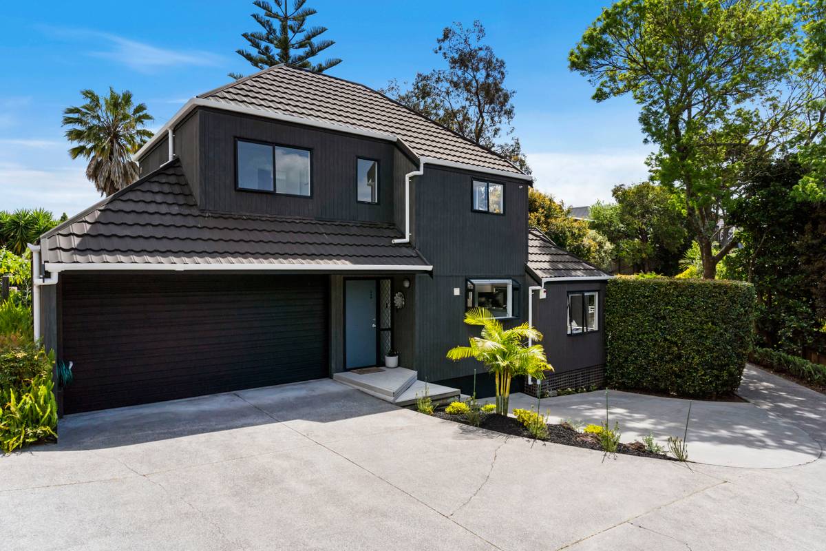 248 Meola Road, Point Chevalier, Auckland City Real Estate Ray