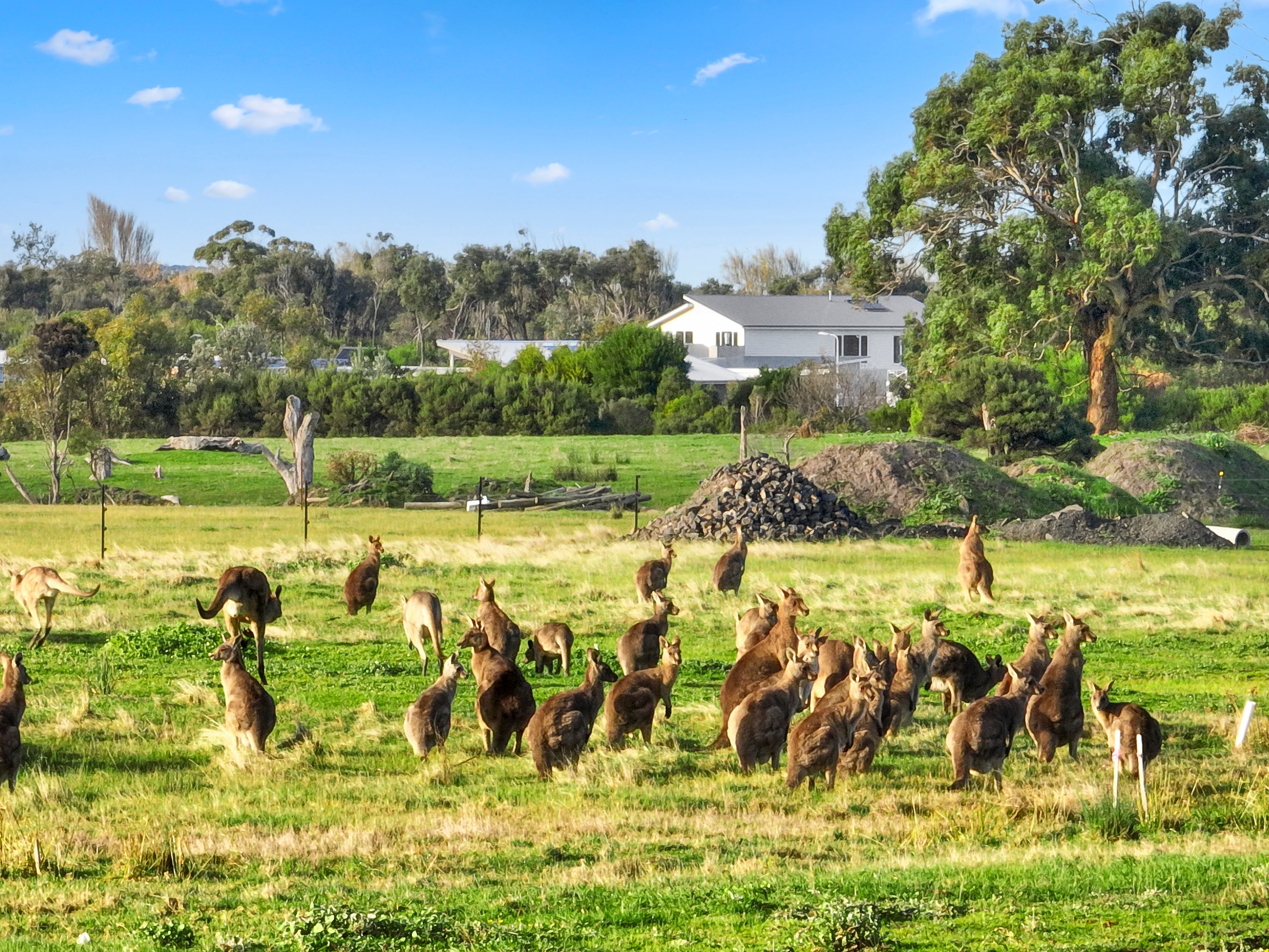 18 Citadel Way, Inverloch, VIC 3996