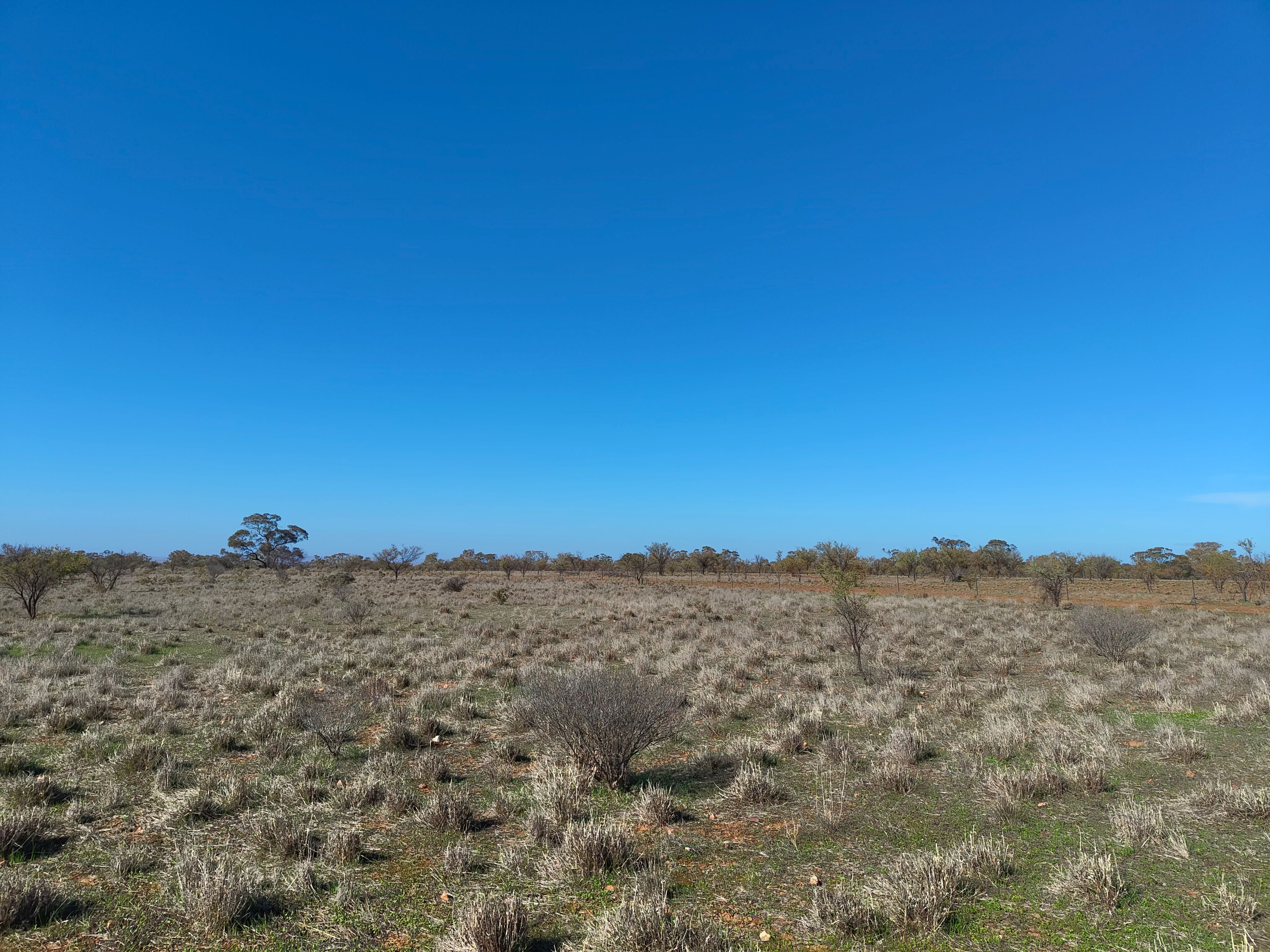 Lot 213 DUHRING Road, Wilmington, SA 5485