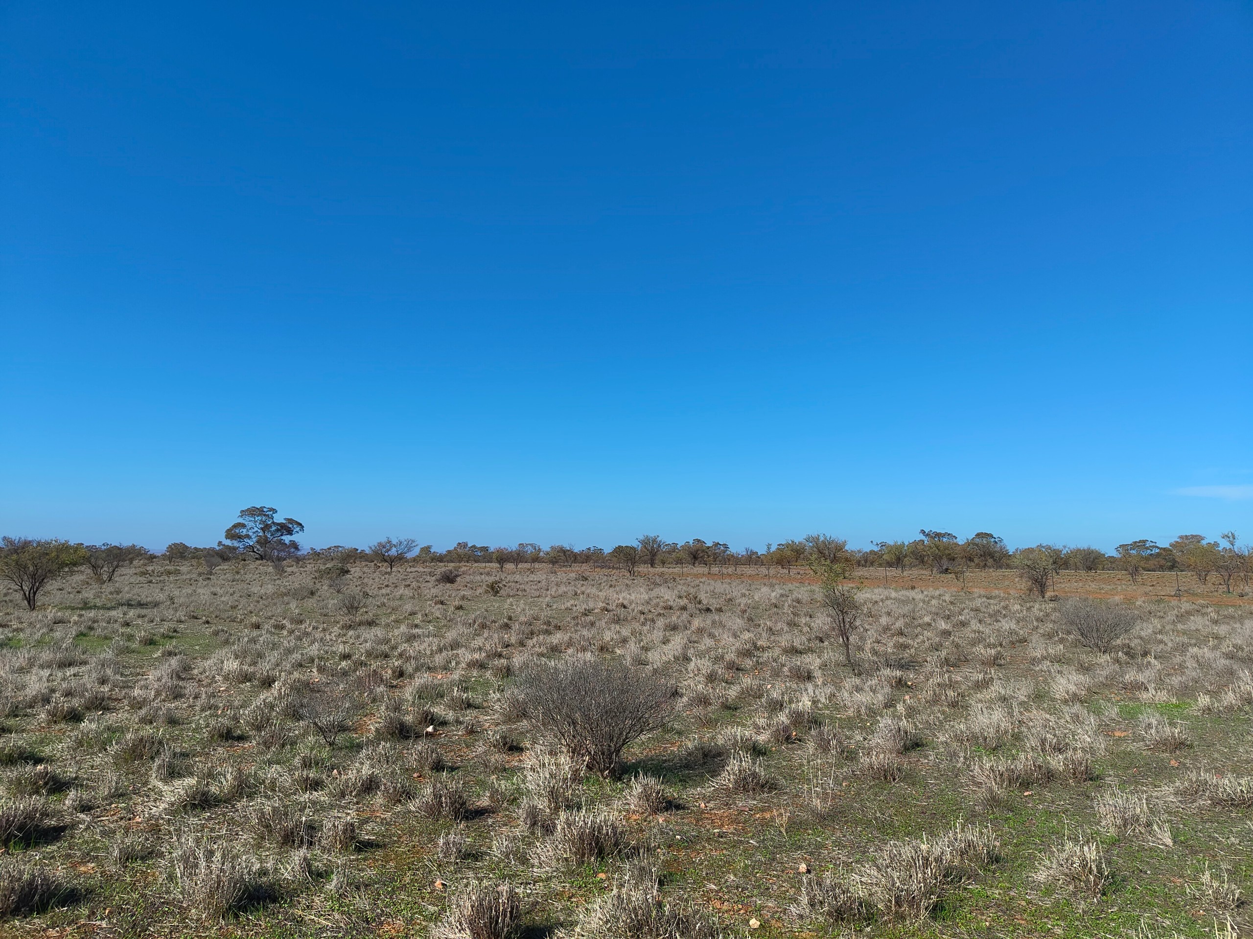 Lot 213 DUHRING Road, Wilmington, SA 5485