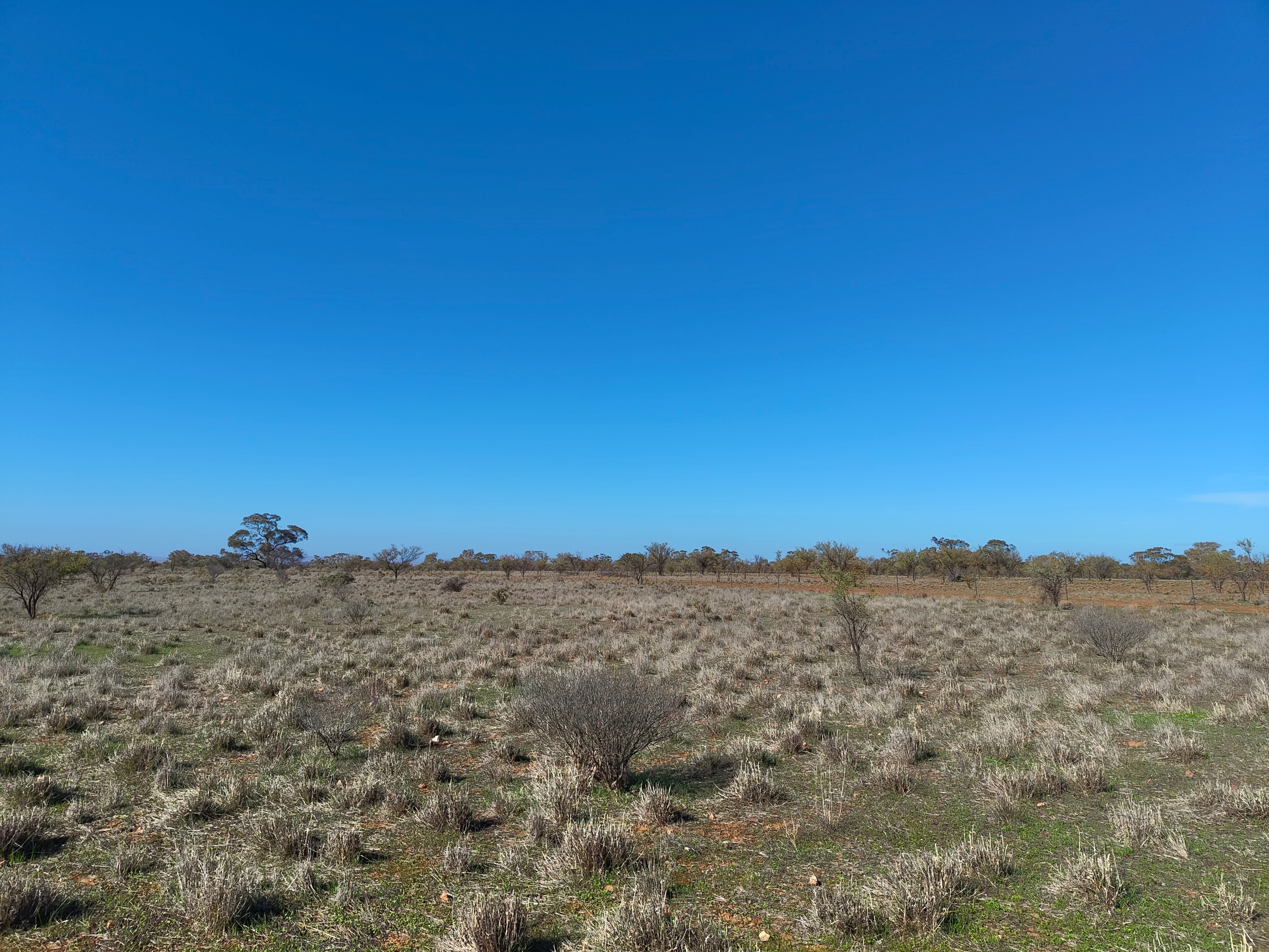 Lot 213 DUHRING Road, Wilmington, SA 5485