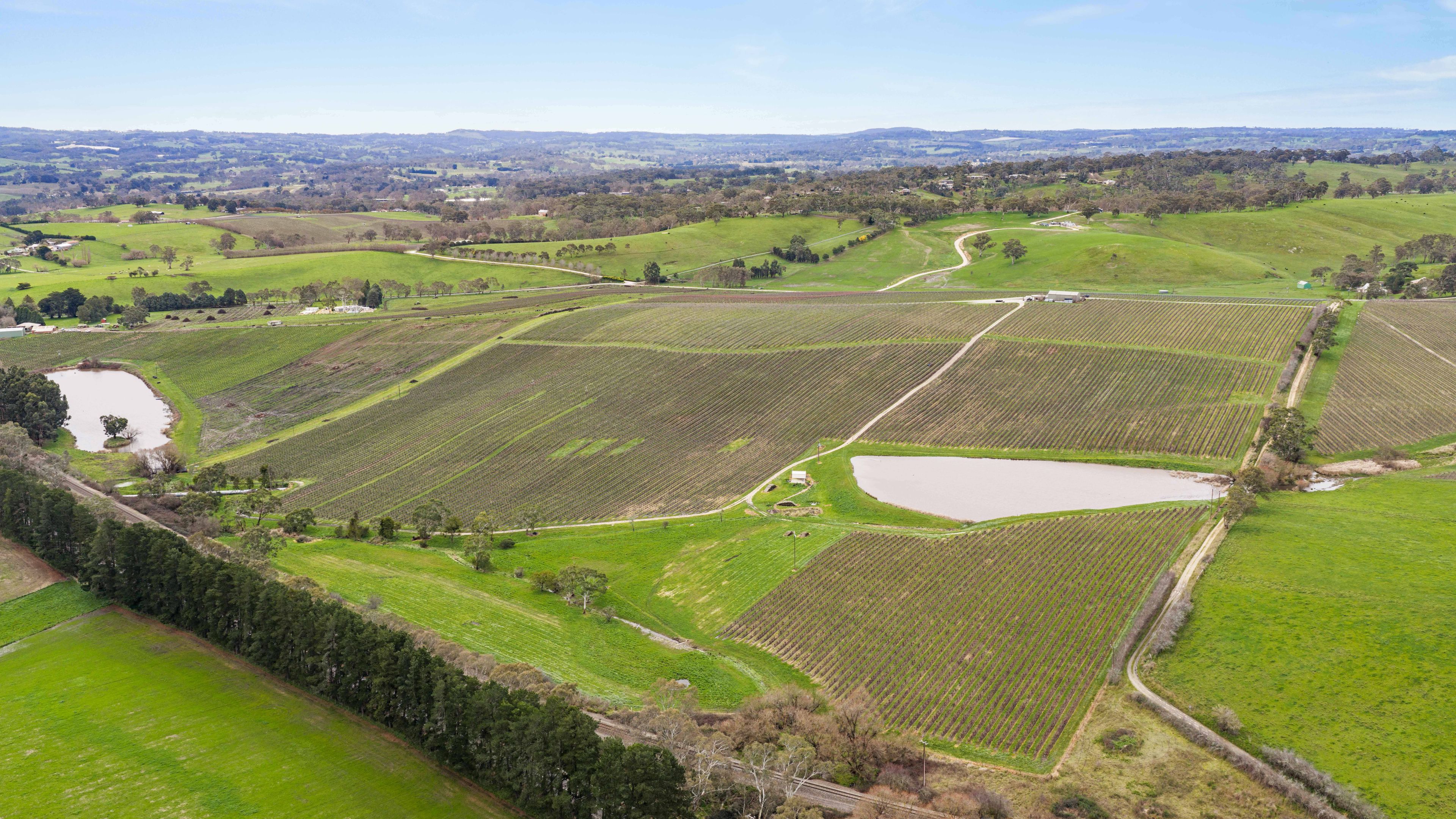 81 Daniels Road — photo from Ray White Woodside