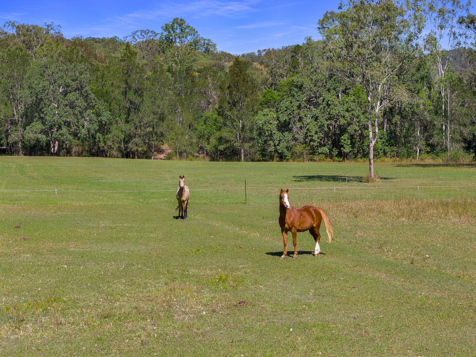 Amamoor Creek, QLD 4570